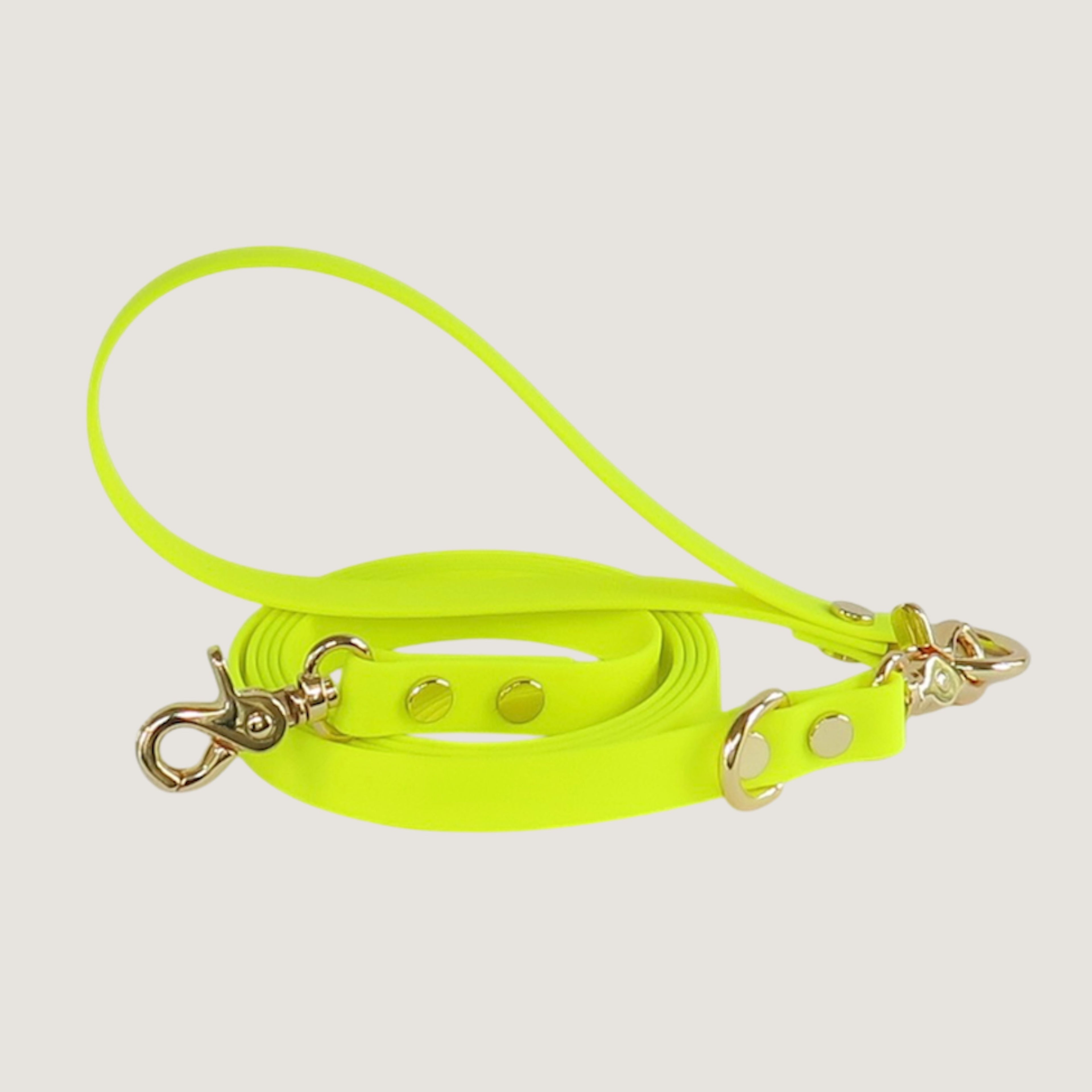 Dog Leash Northern Blue
