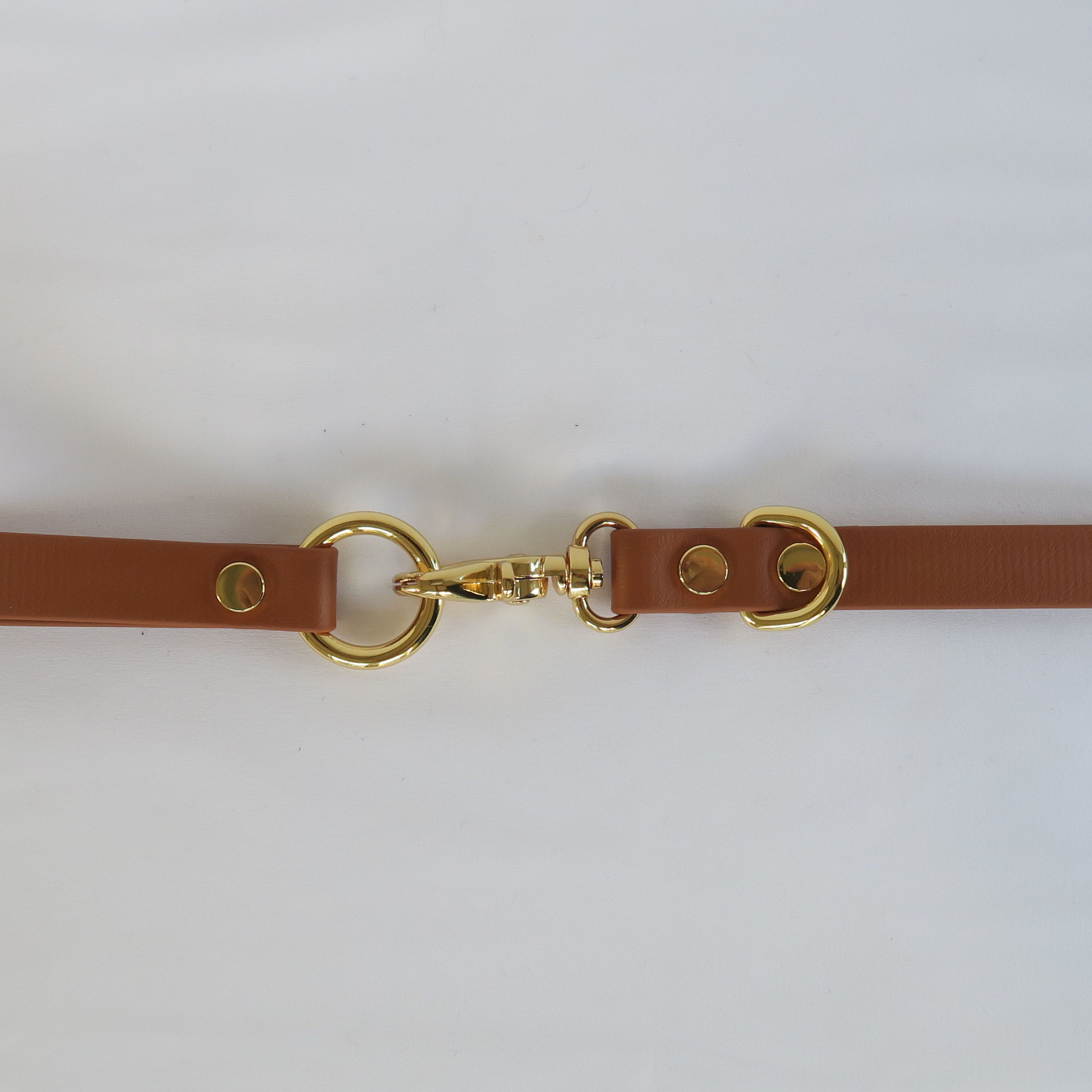 Dog Leash Brown