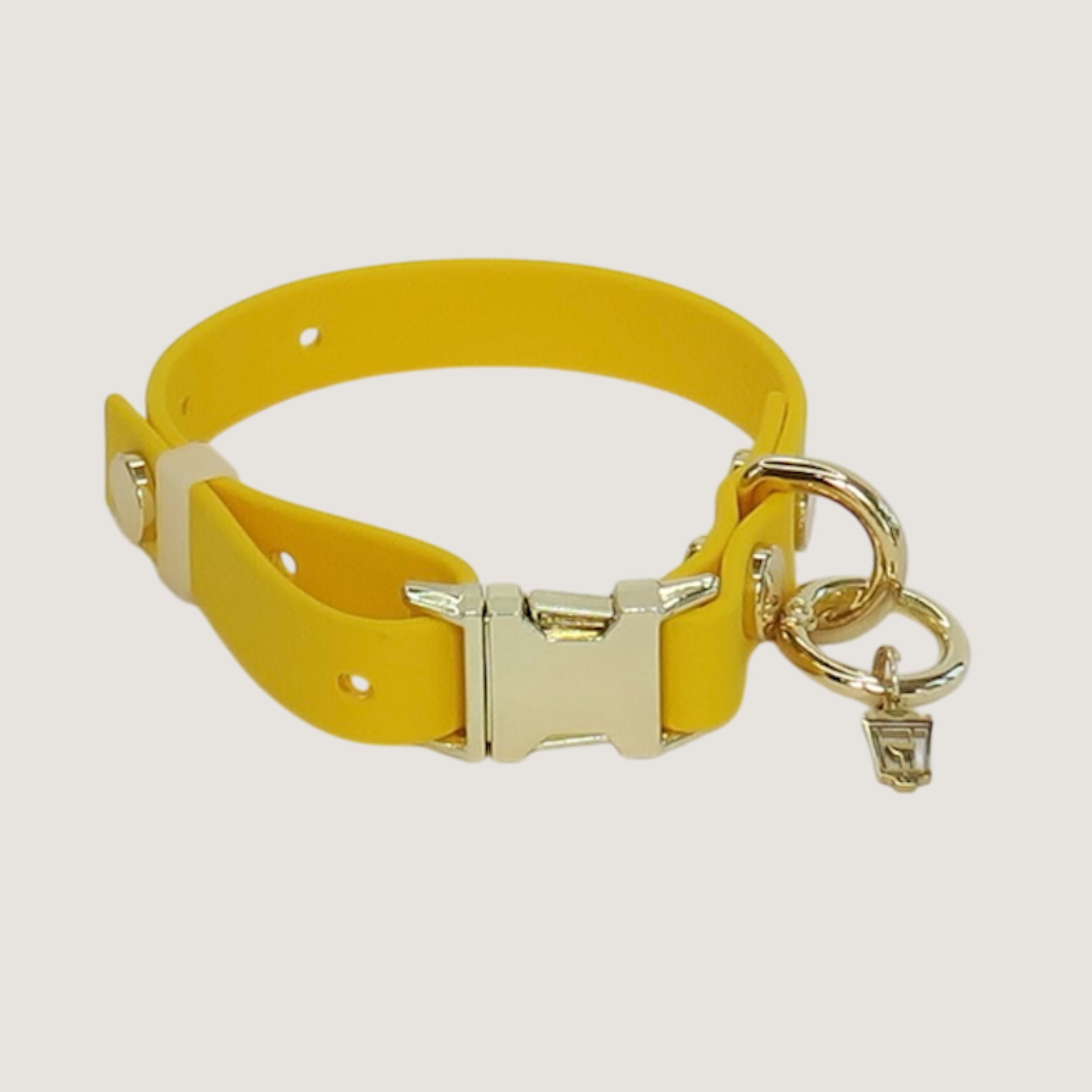 Small Texas Sunflower Dog Collar