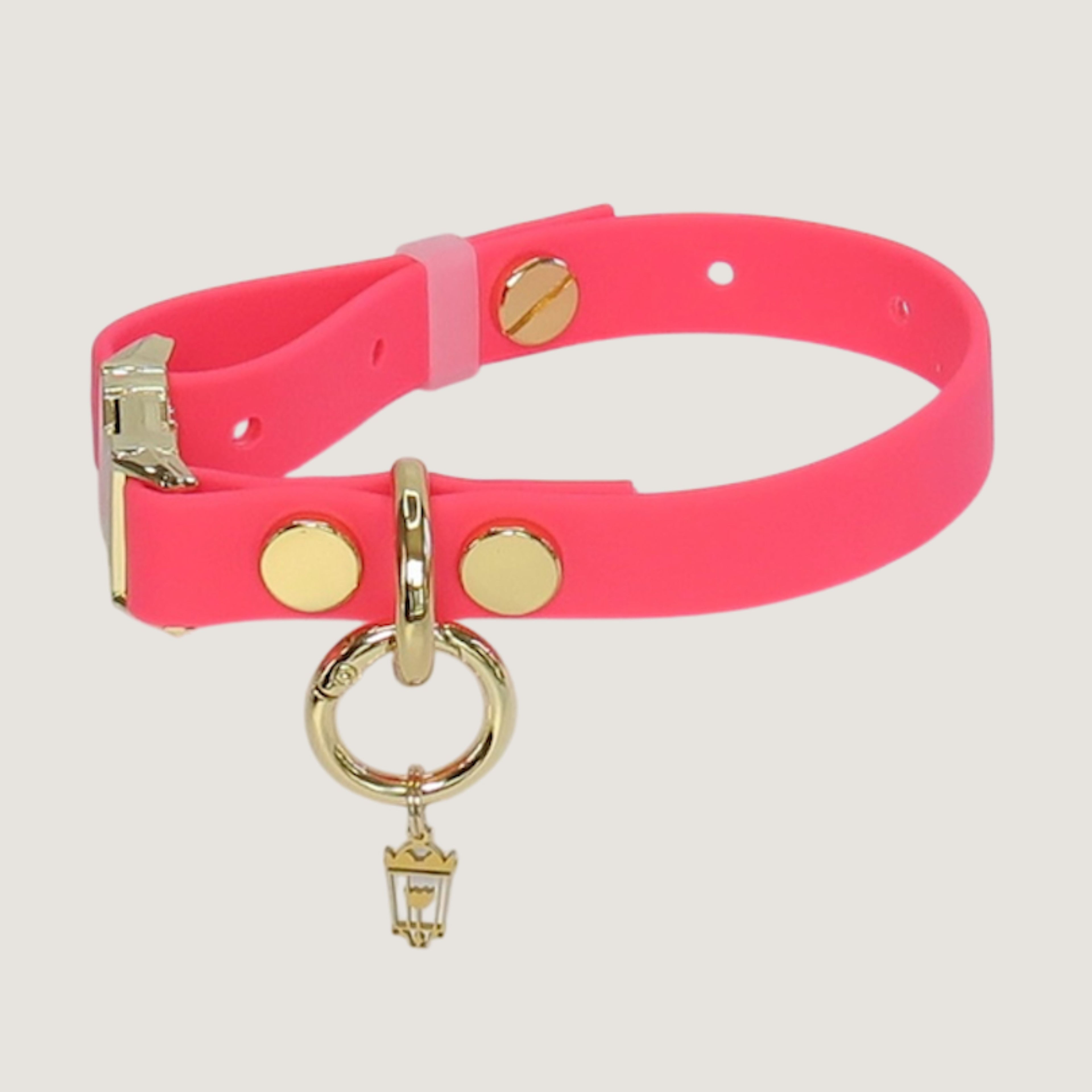 Small Northern Pink Dog Collar