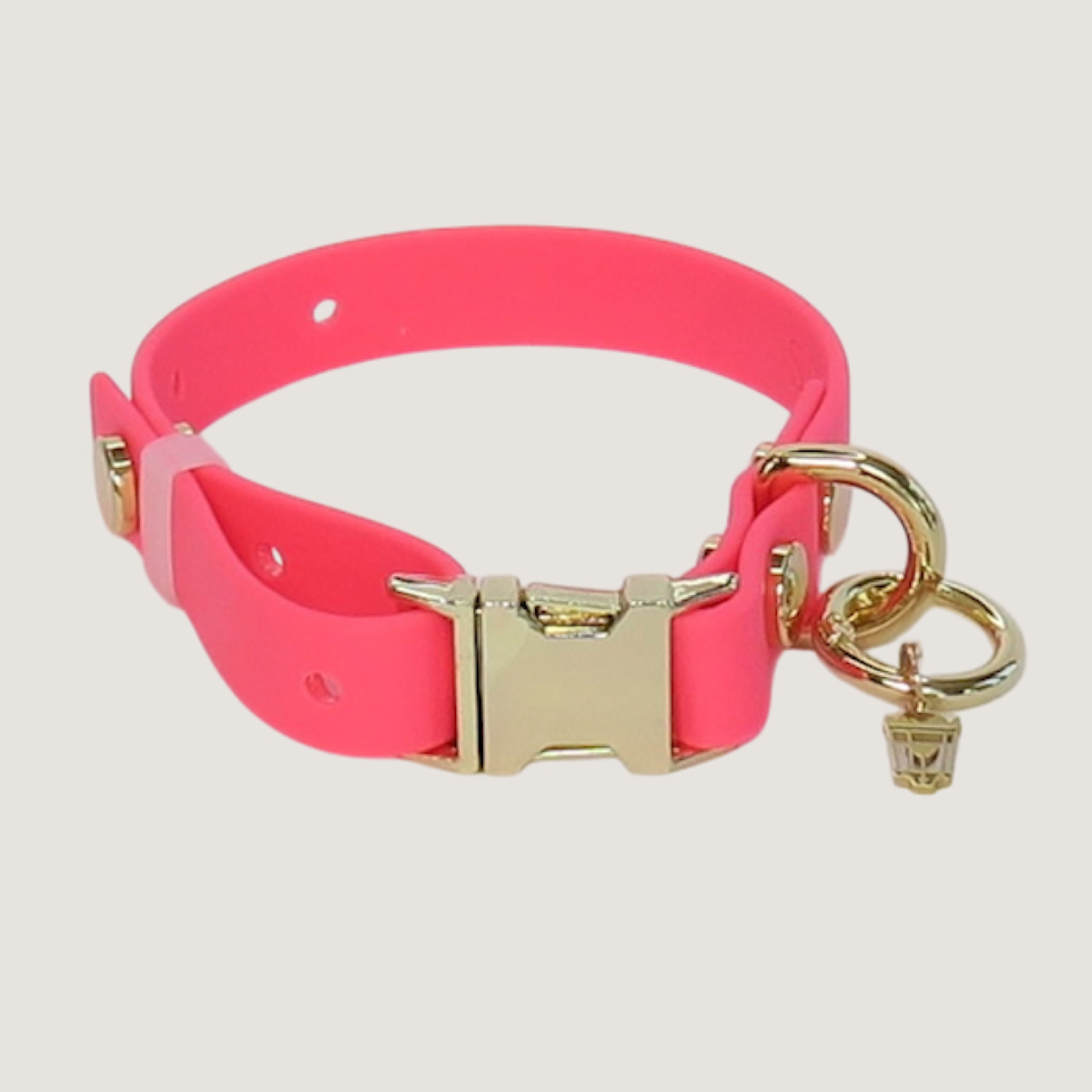 Small Northern Pink Dog Collar