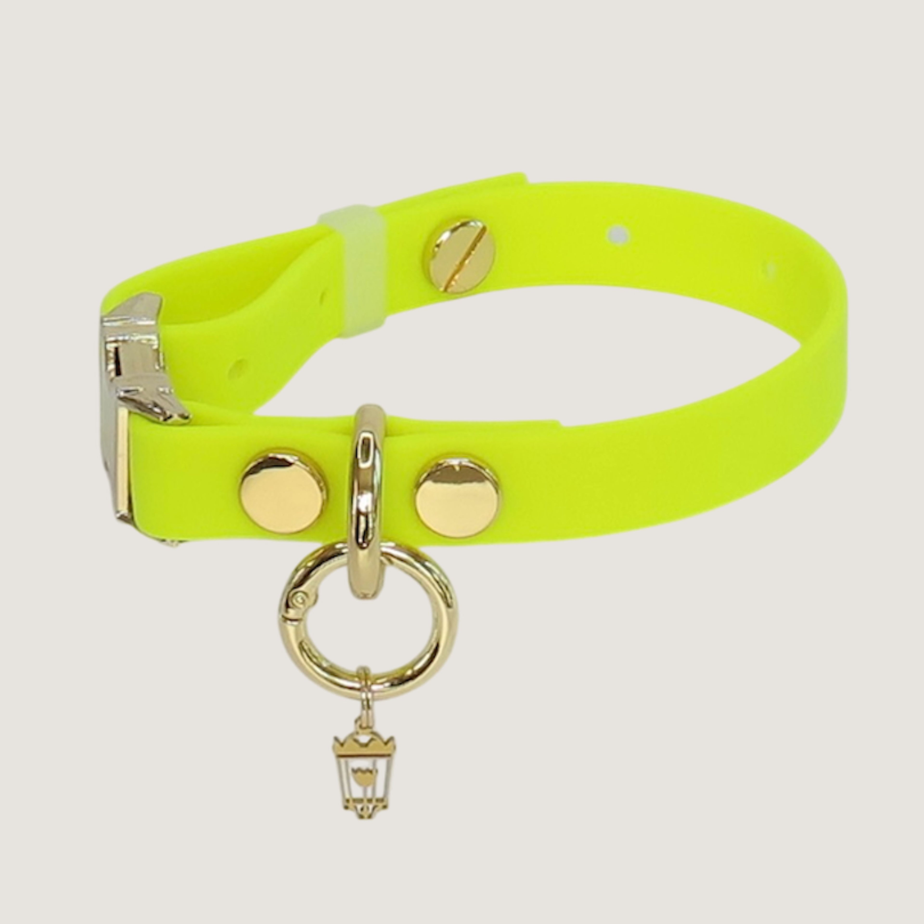 Small Northern Yellow Dog Collar