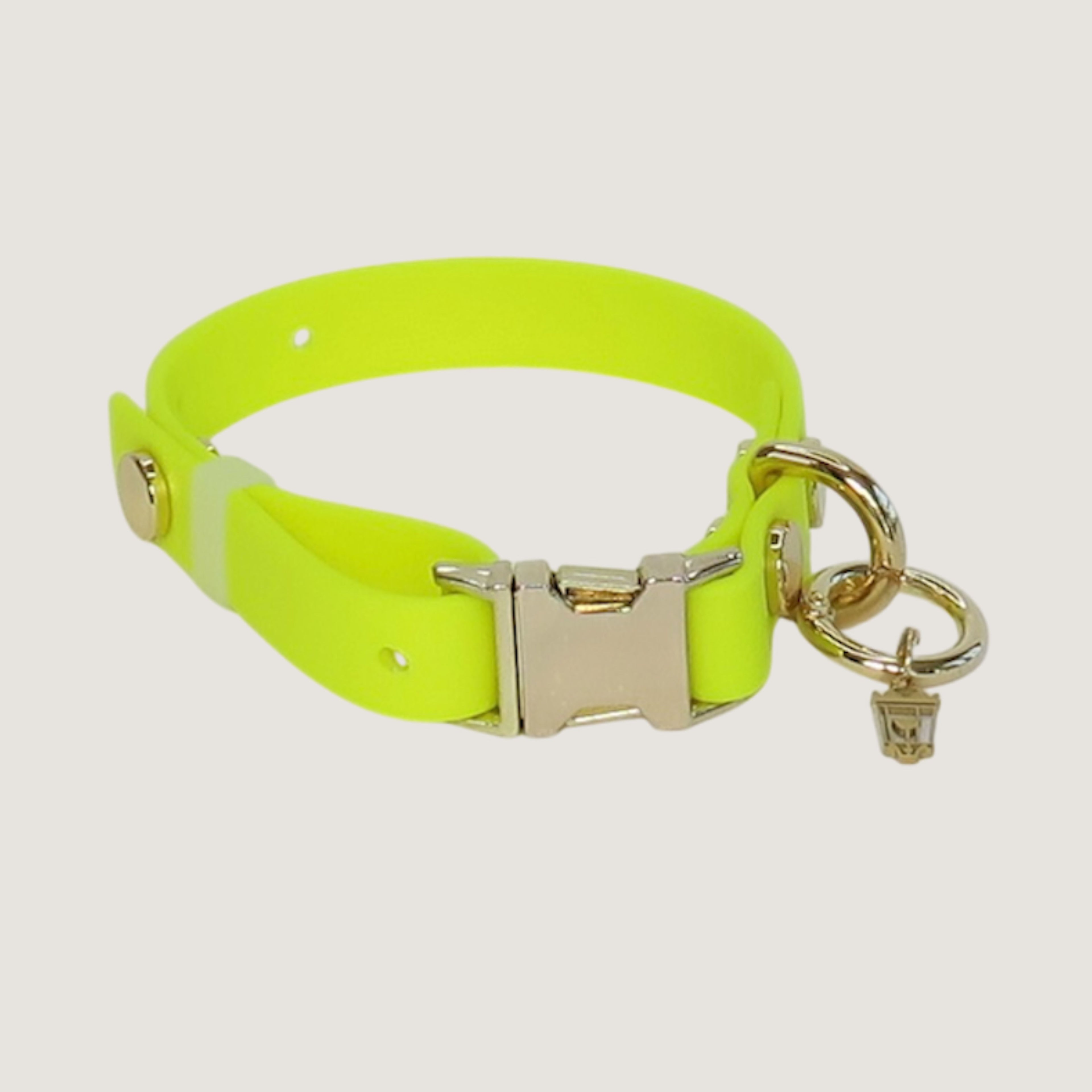 Small Northern Yellow Dog Collar
