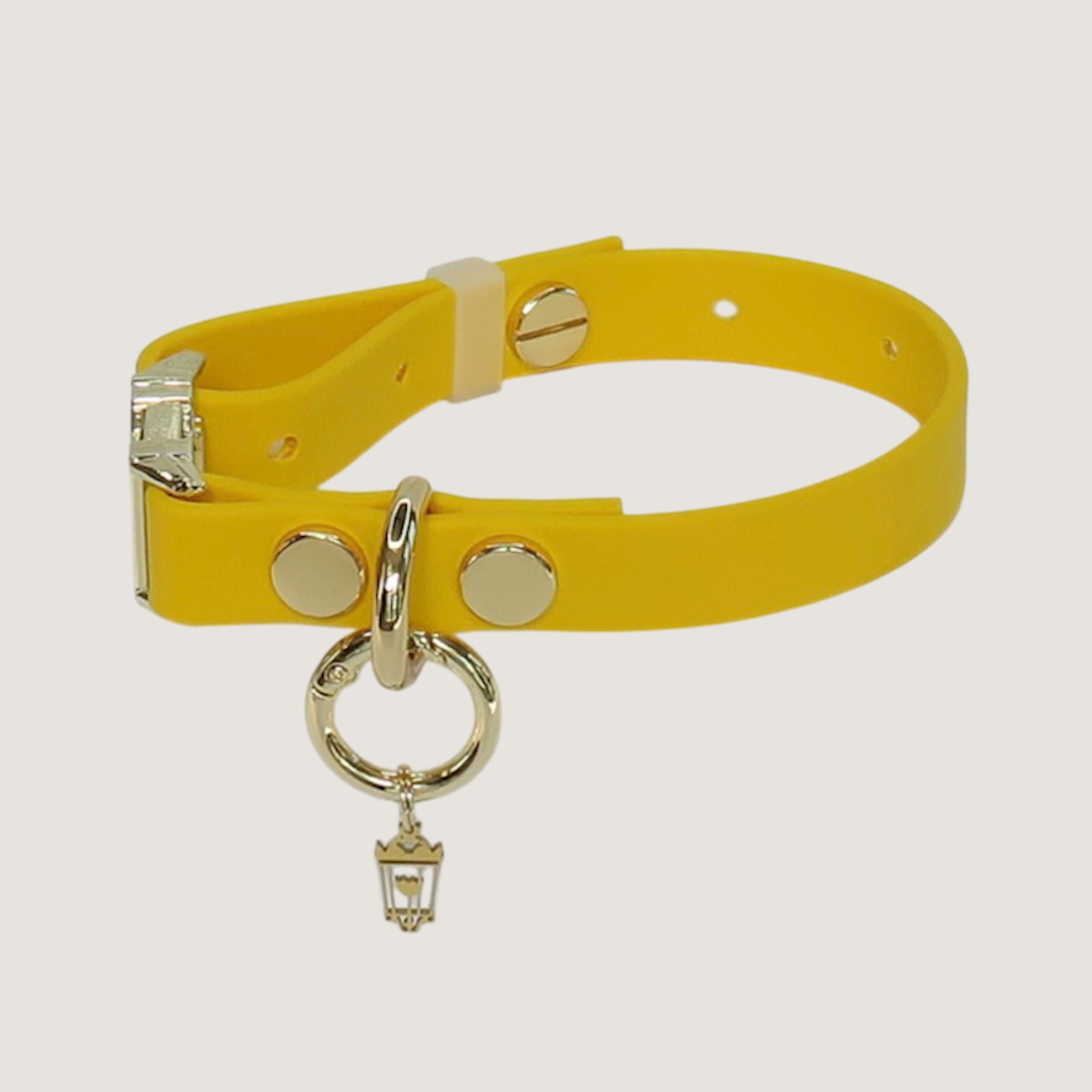 Small Texas Sunflower Dog Collar