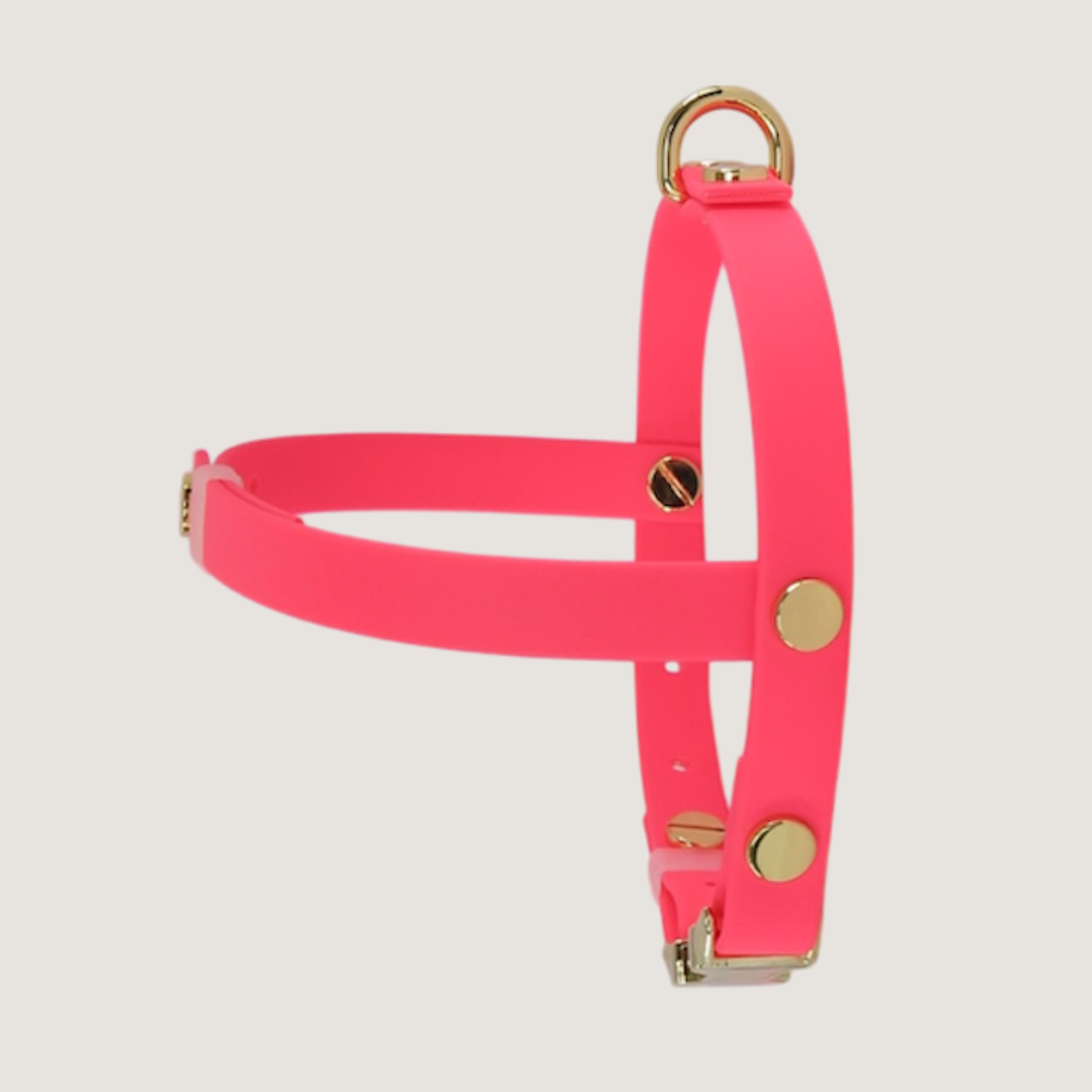 Dog Leash Northern Blue