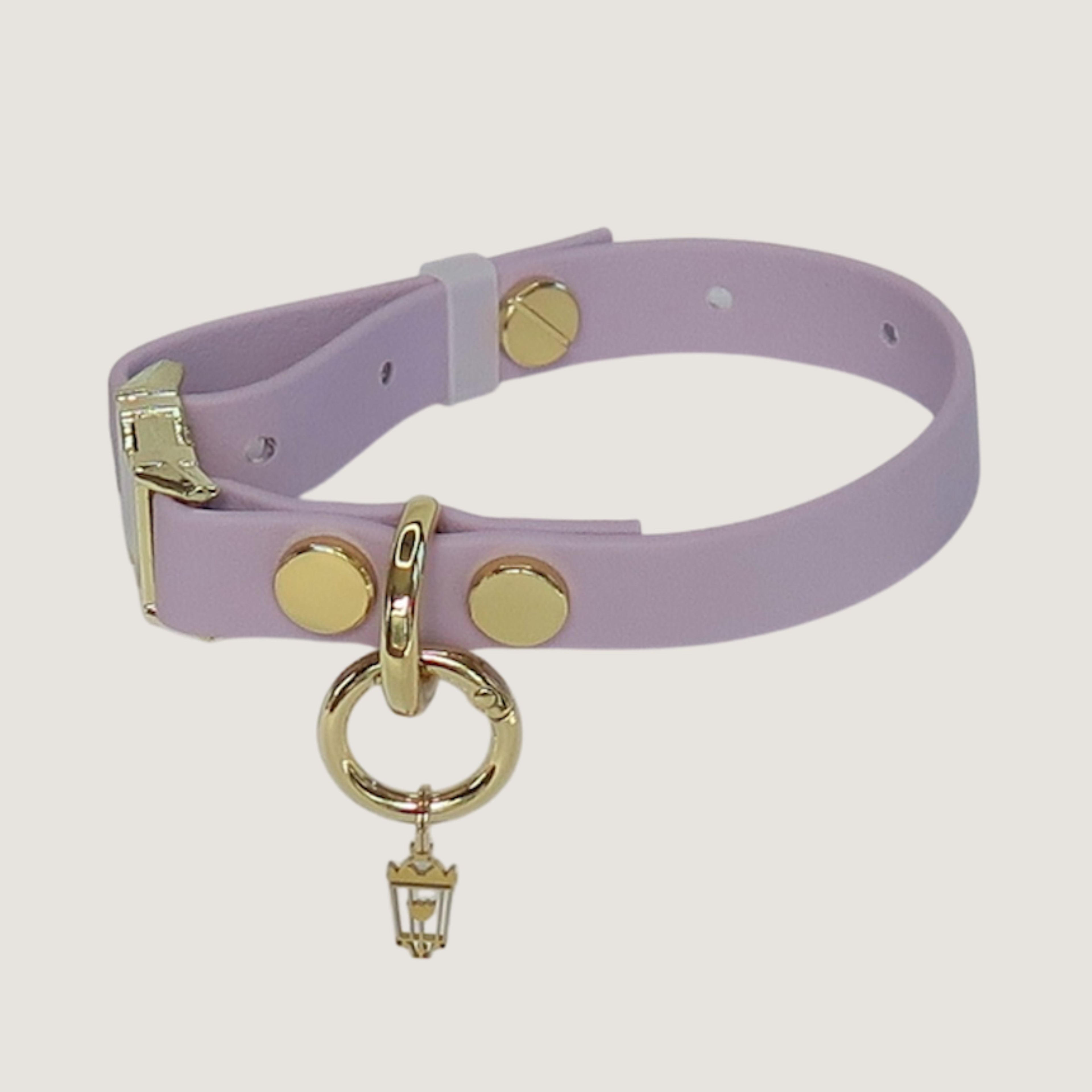 Small Texas Laurel Dog Collar