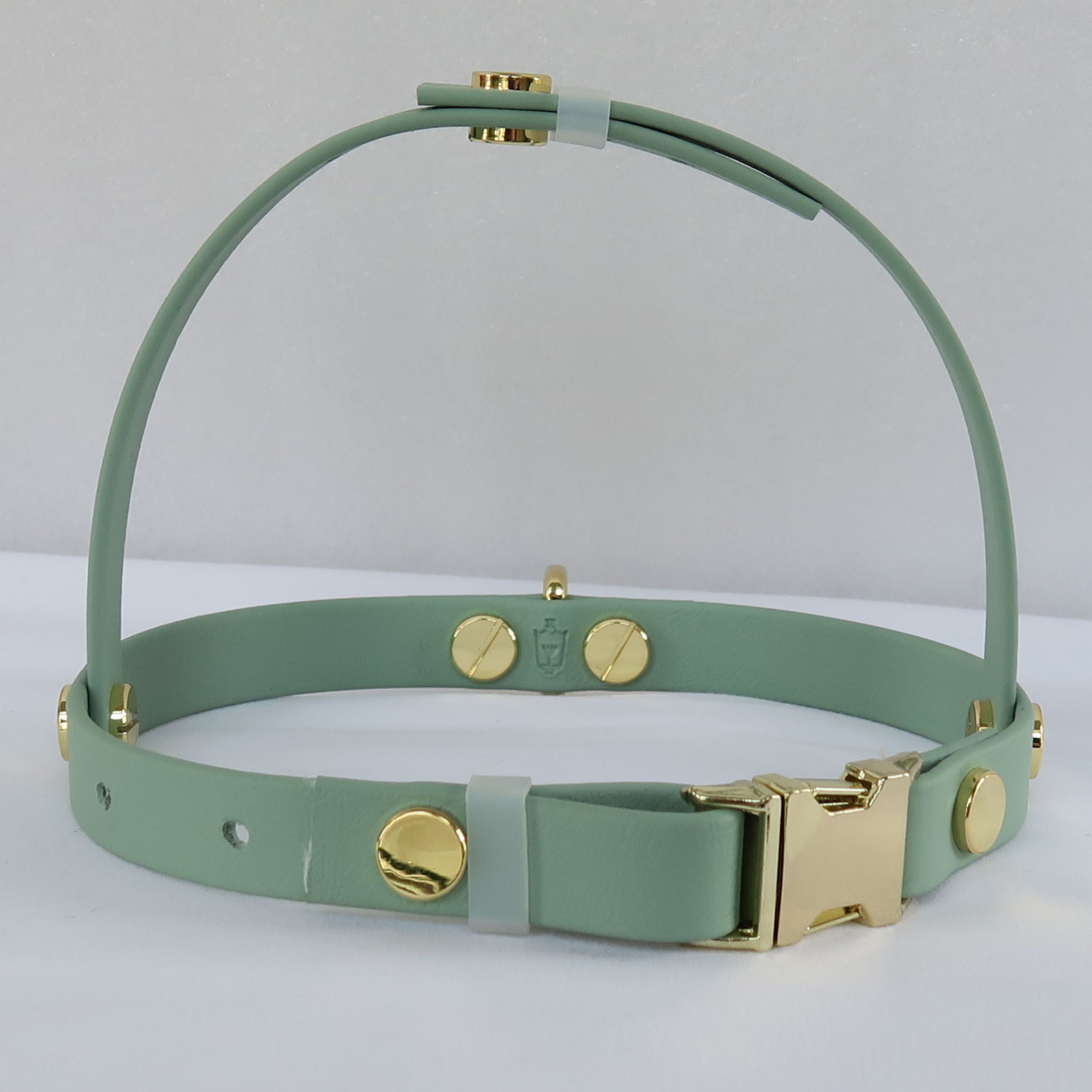 Small Dog Harness Sage