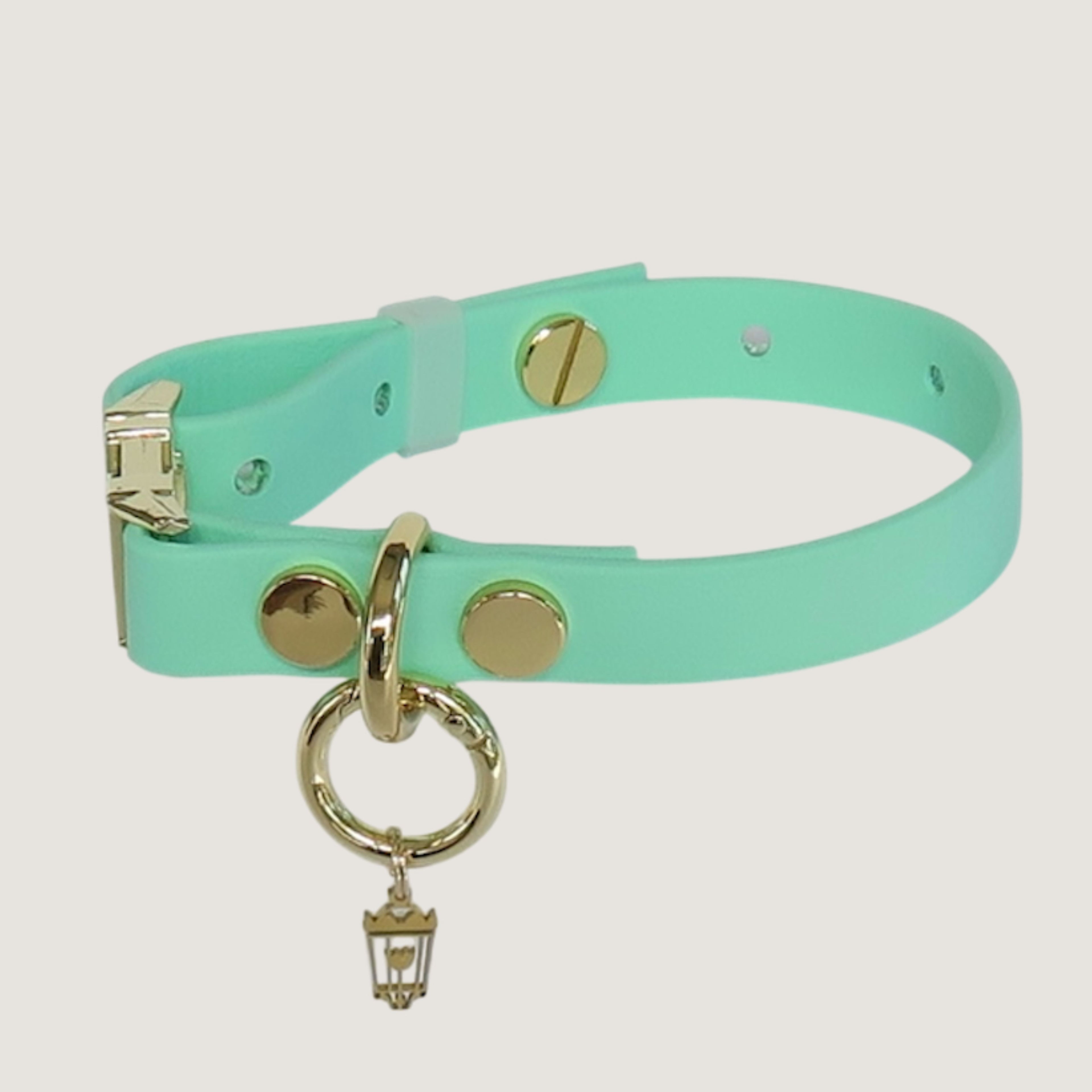 Small Texas Frio Dog Collar