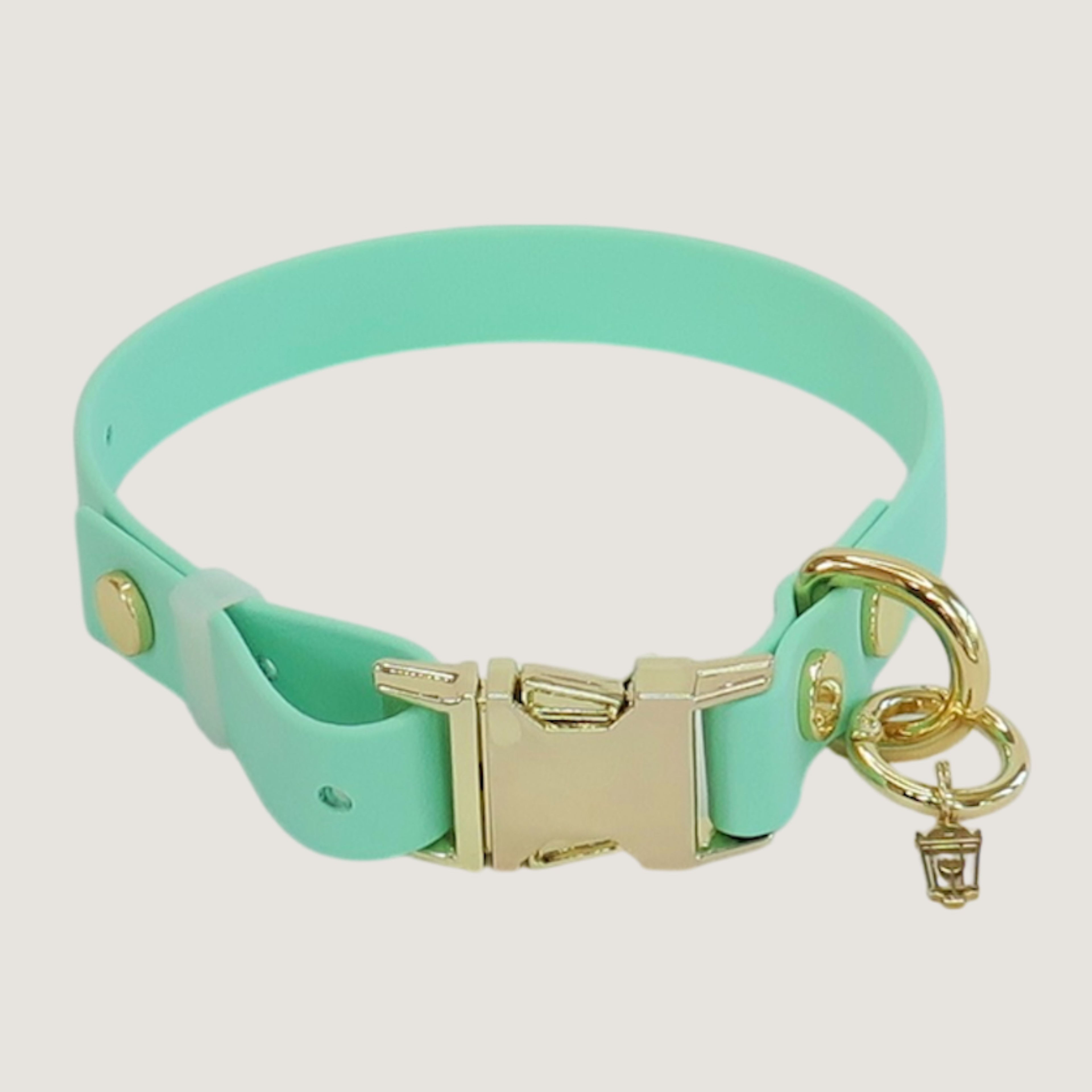 Small Texas Frio Dog Collar