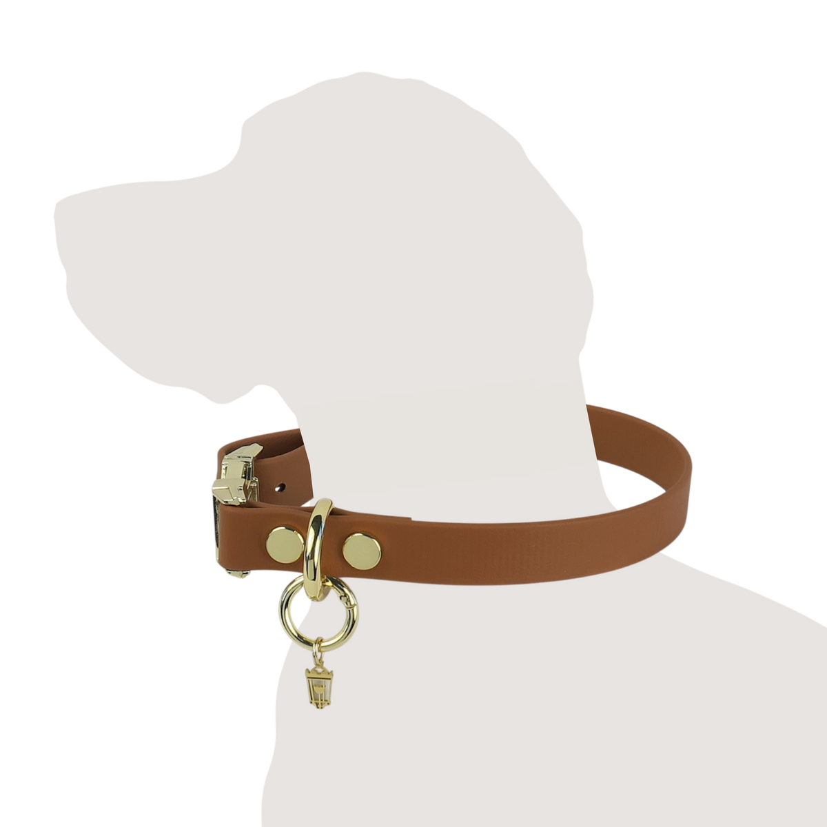 Heritage Leather Collar