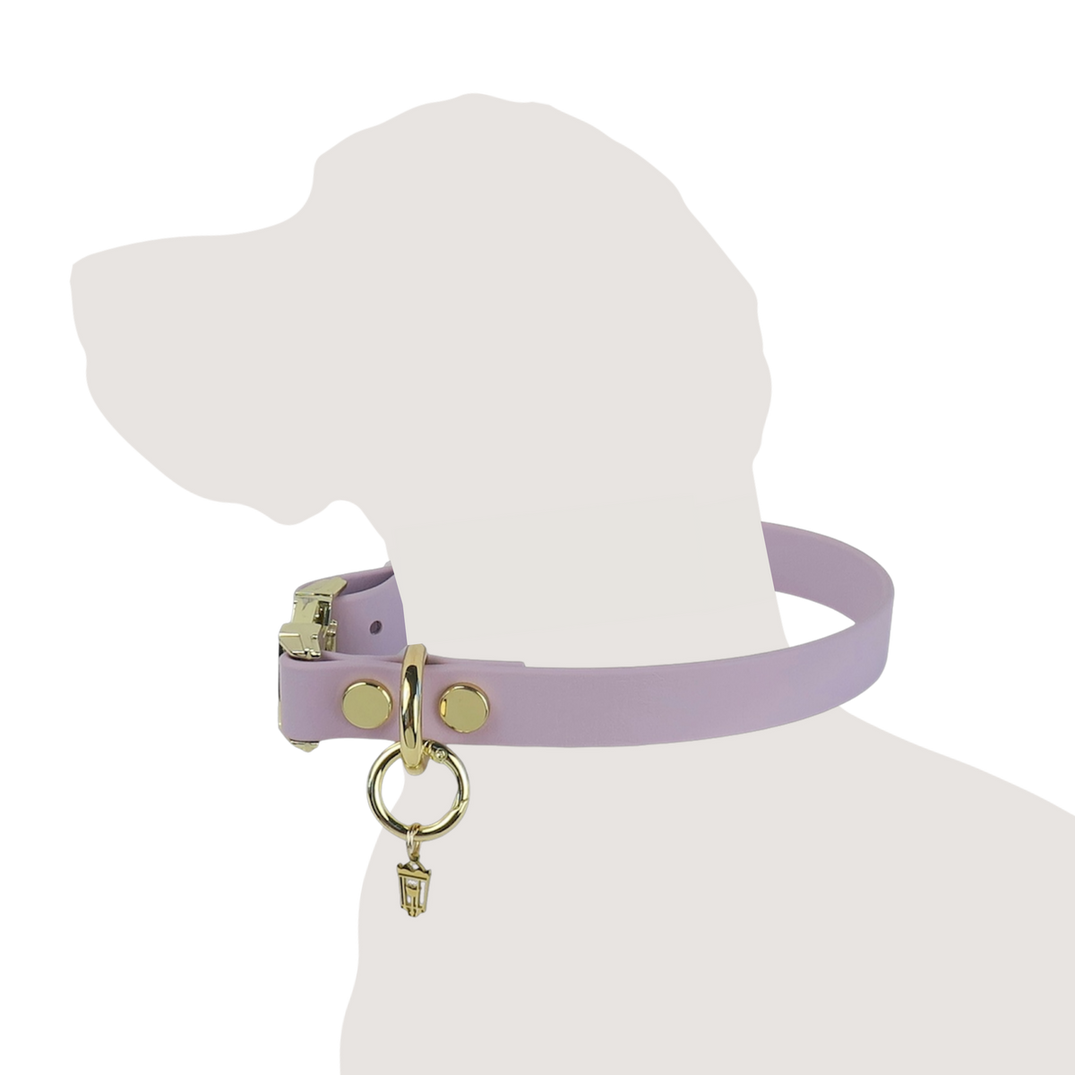 Texas Laurel Collar