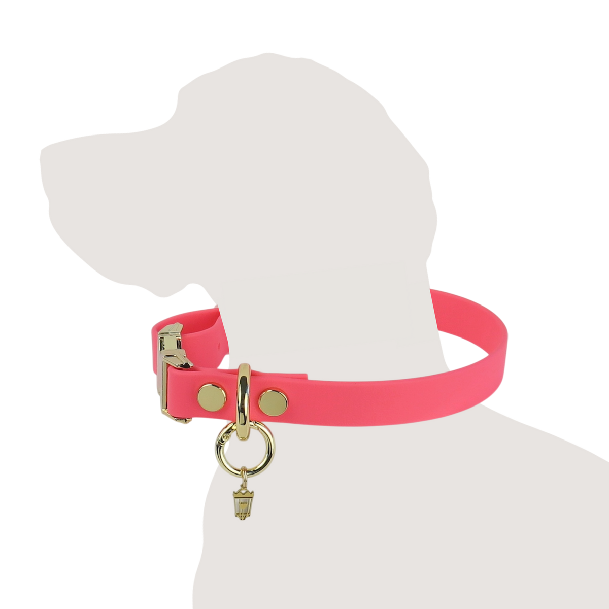 Northern Pink Collar
