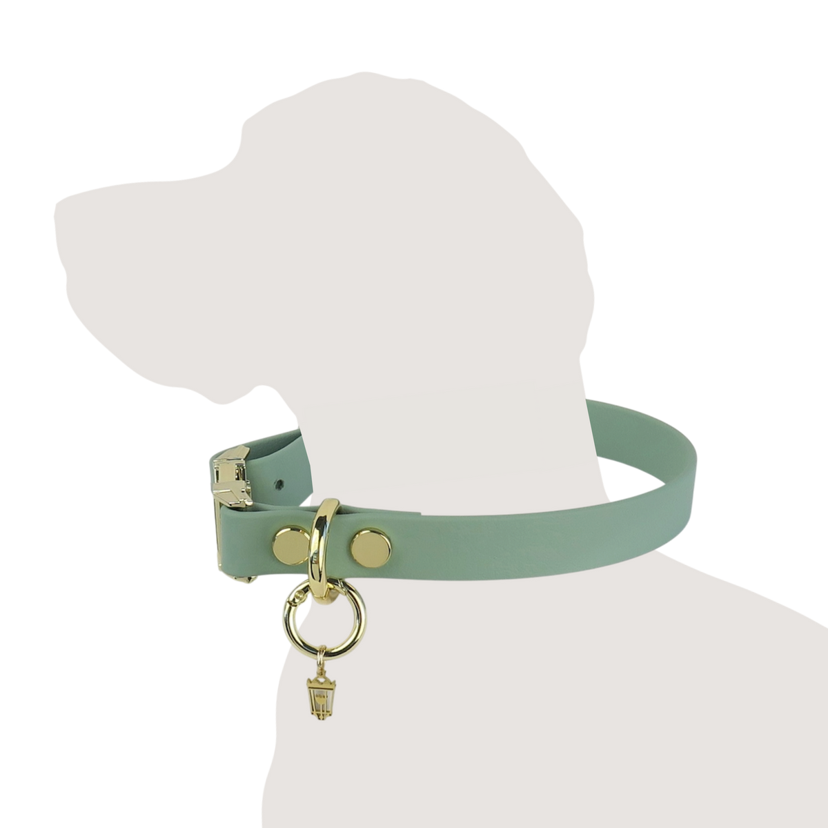 Heritage Sage Collar