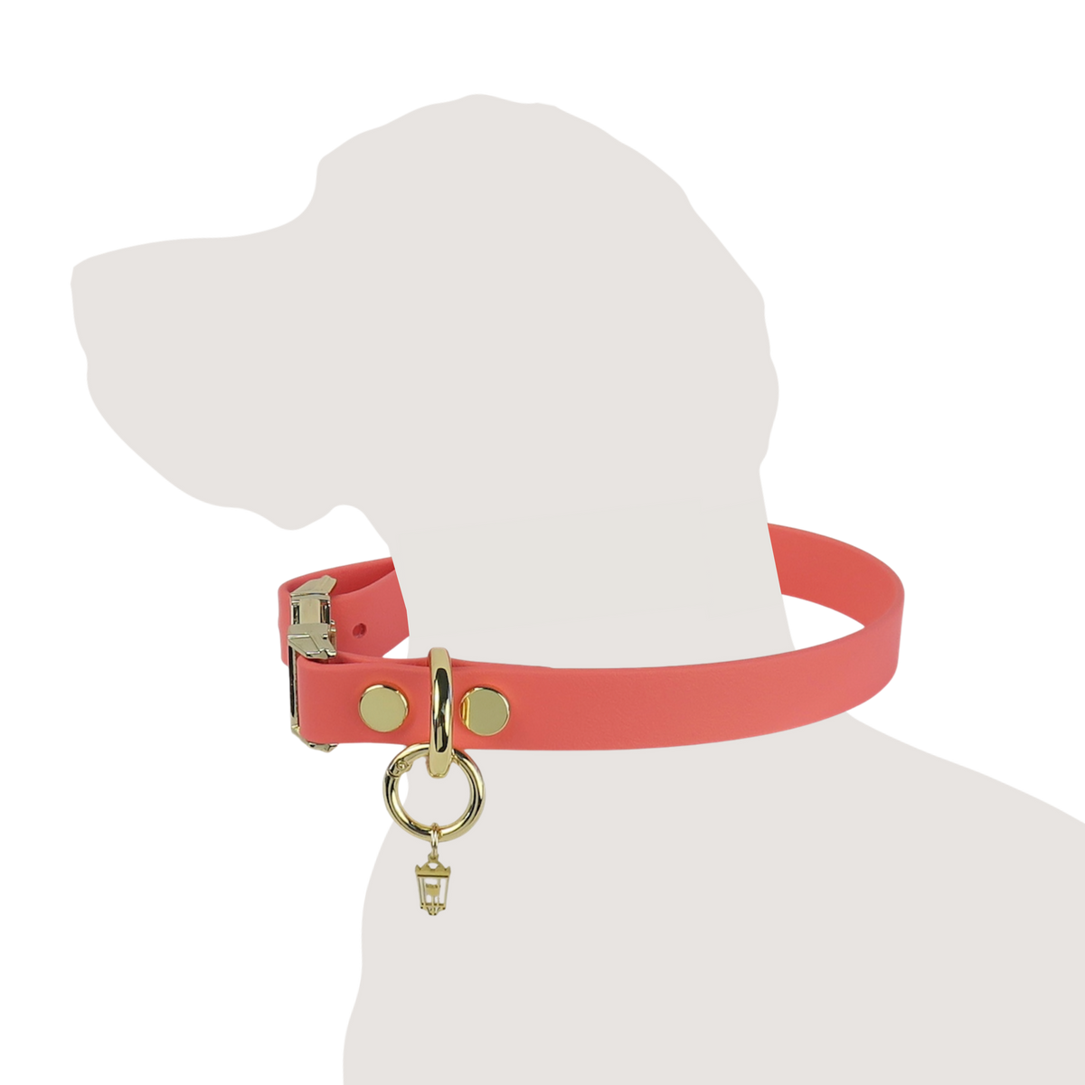Texas Sunset Collar