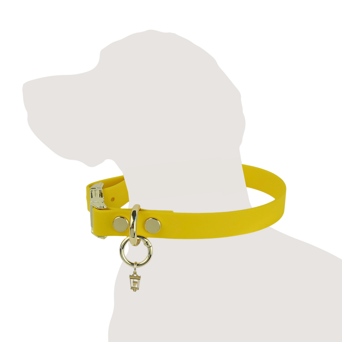 Texas Sunflower Collar