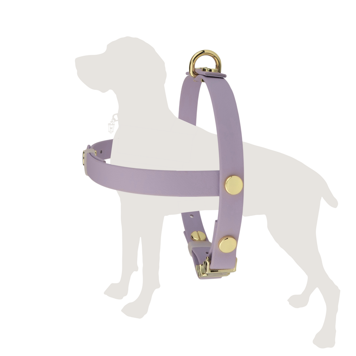 Texas Laurel Harness