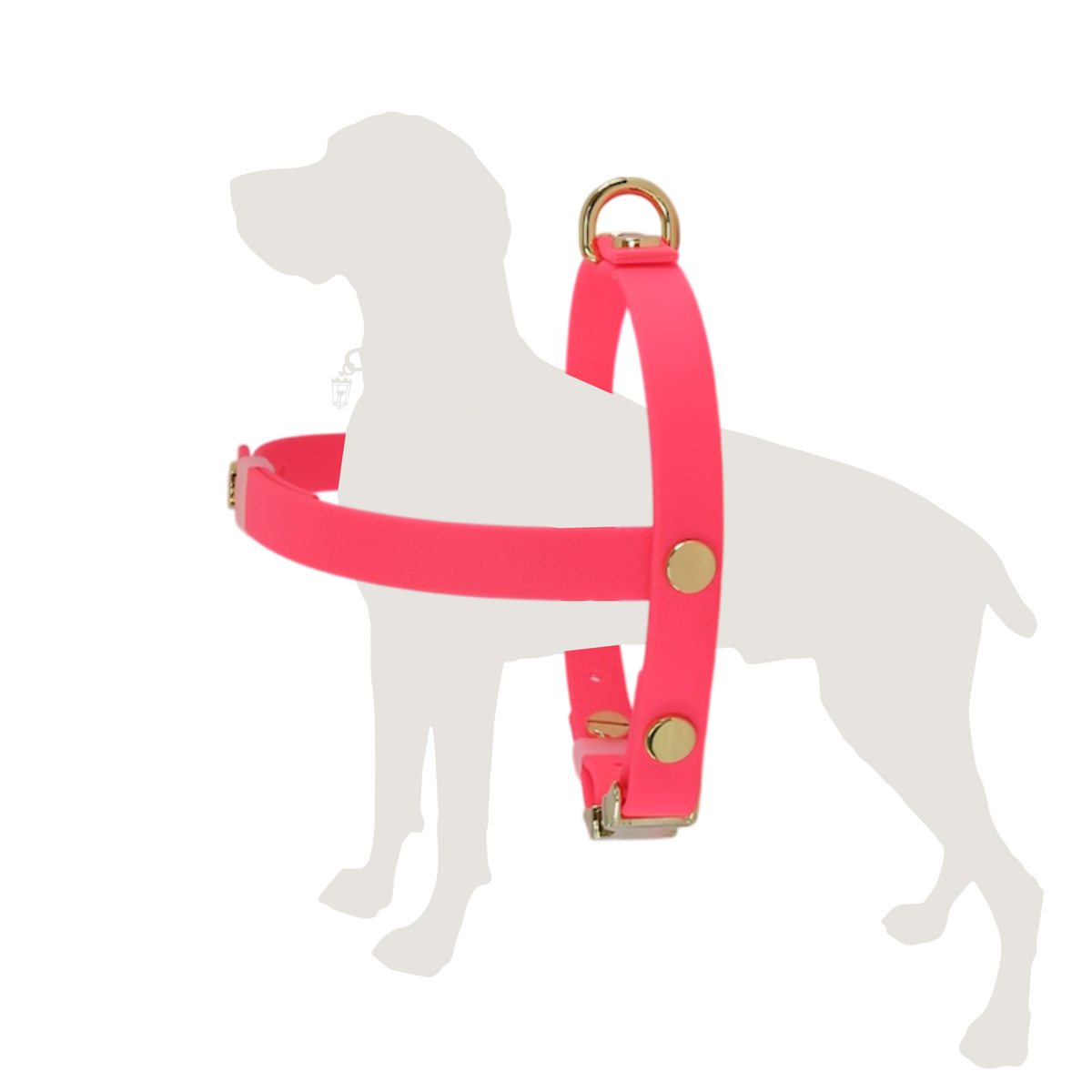 Northern Pink Harness