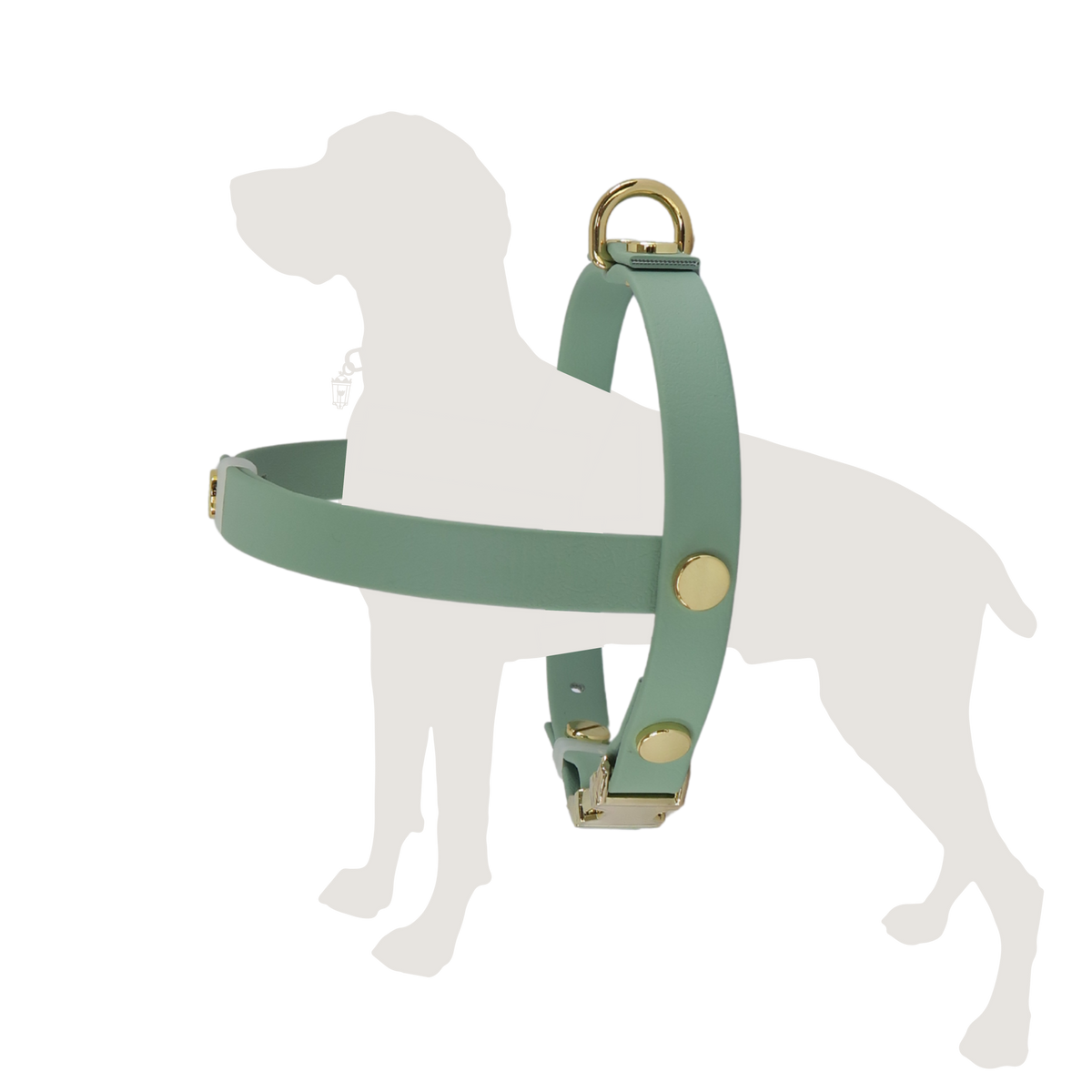 Heritage Sage Harness