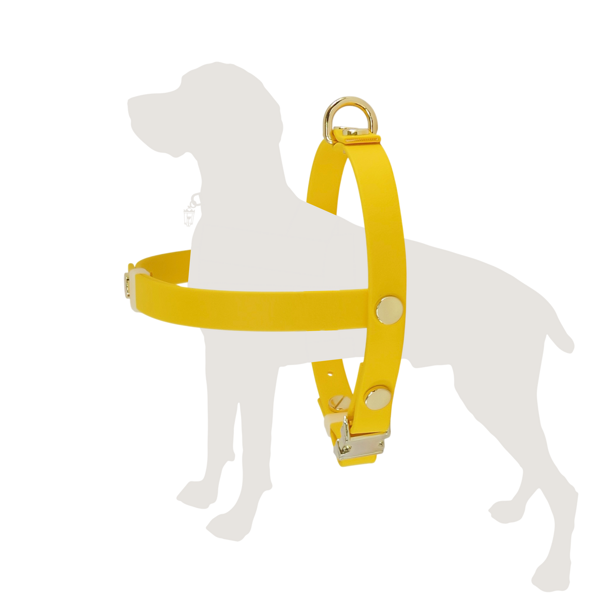 Texas Sunflower Harness