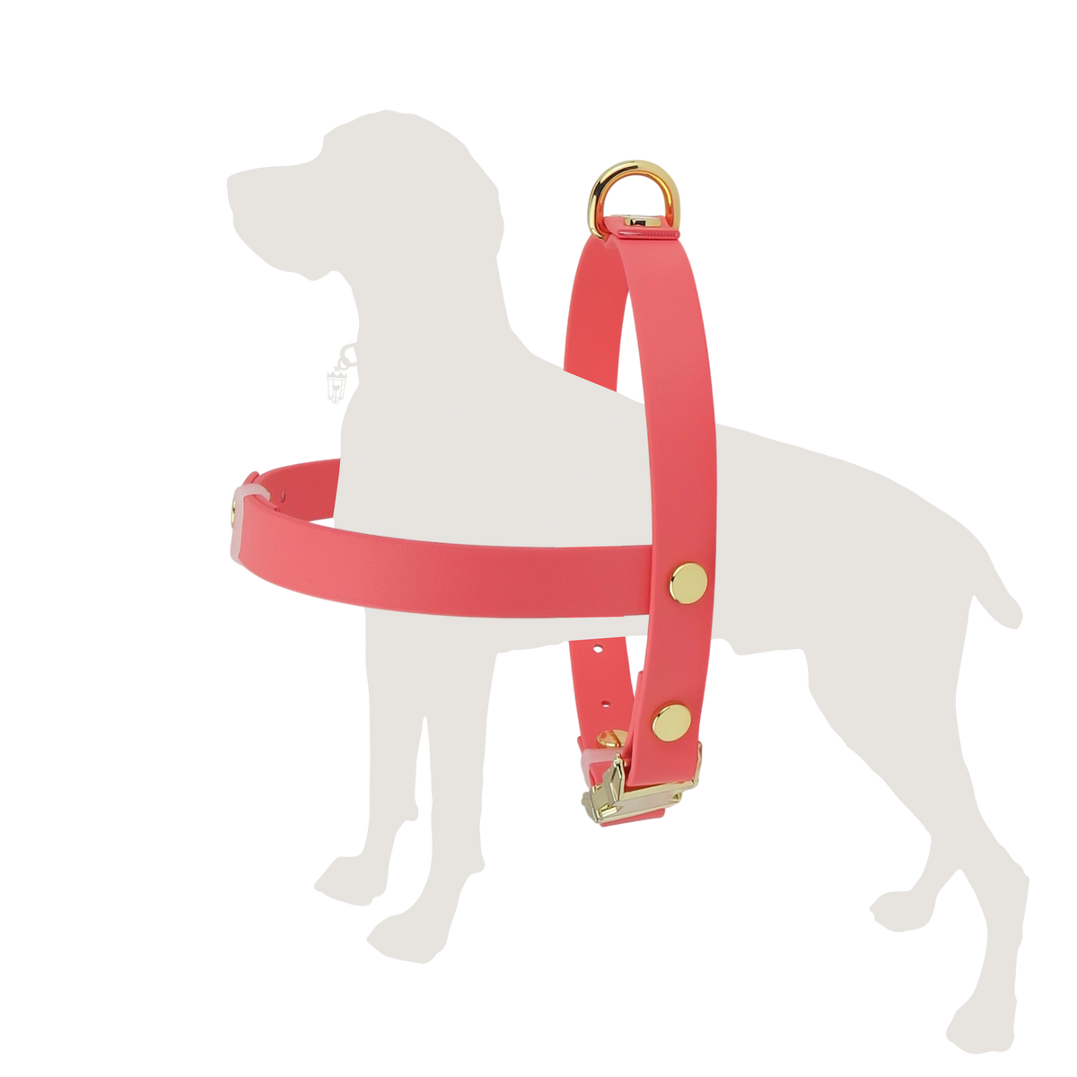 Texas Sunset Harness
