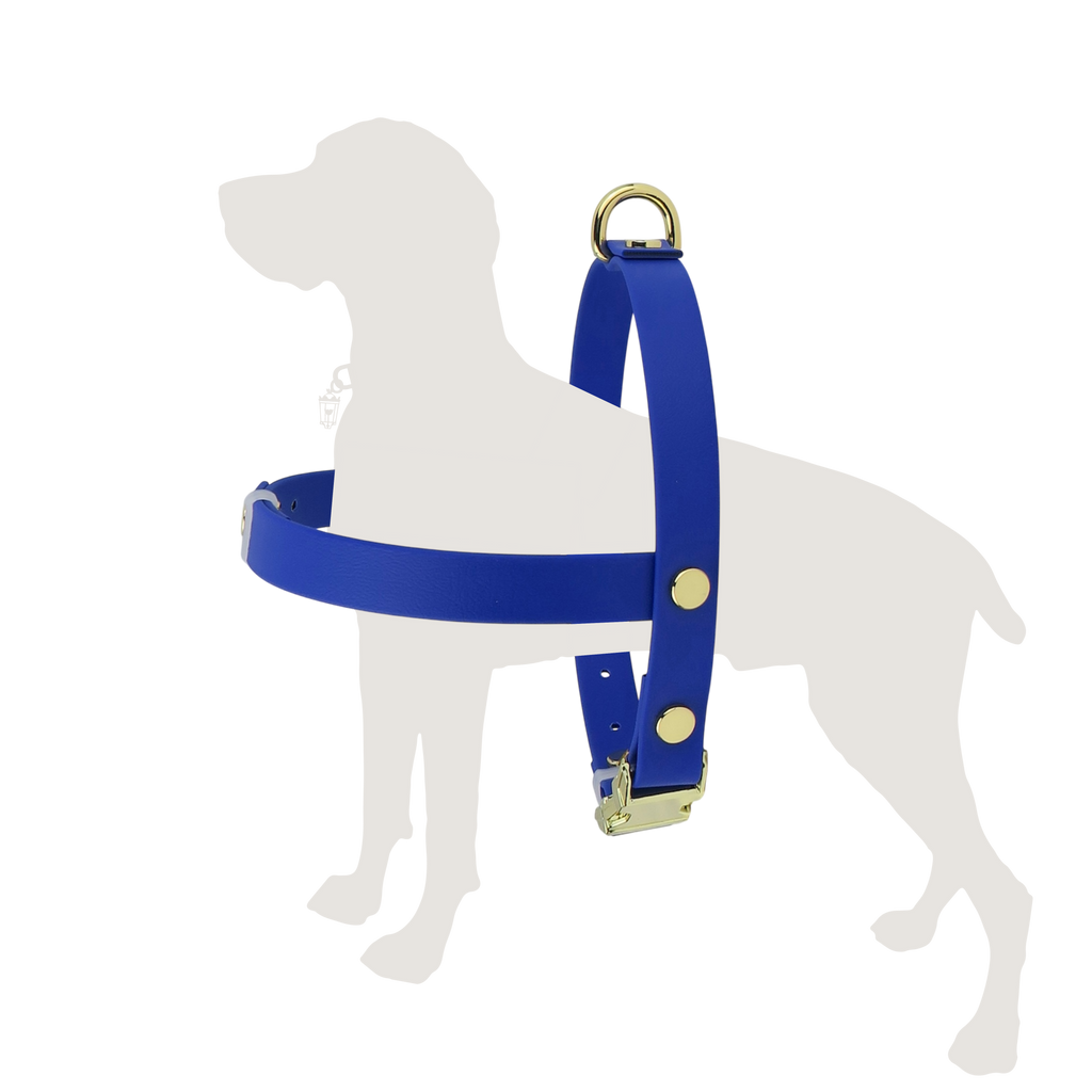 Medium Dog Harness Northern Blue