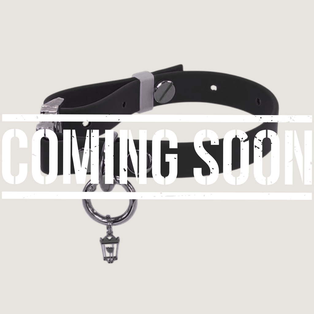Large Dog Collar Brown