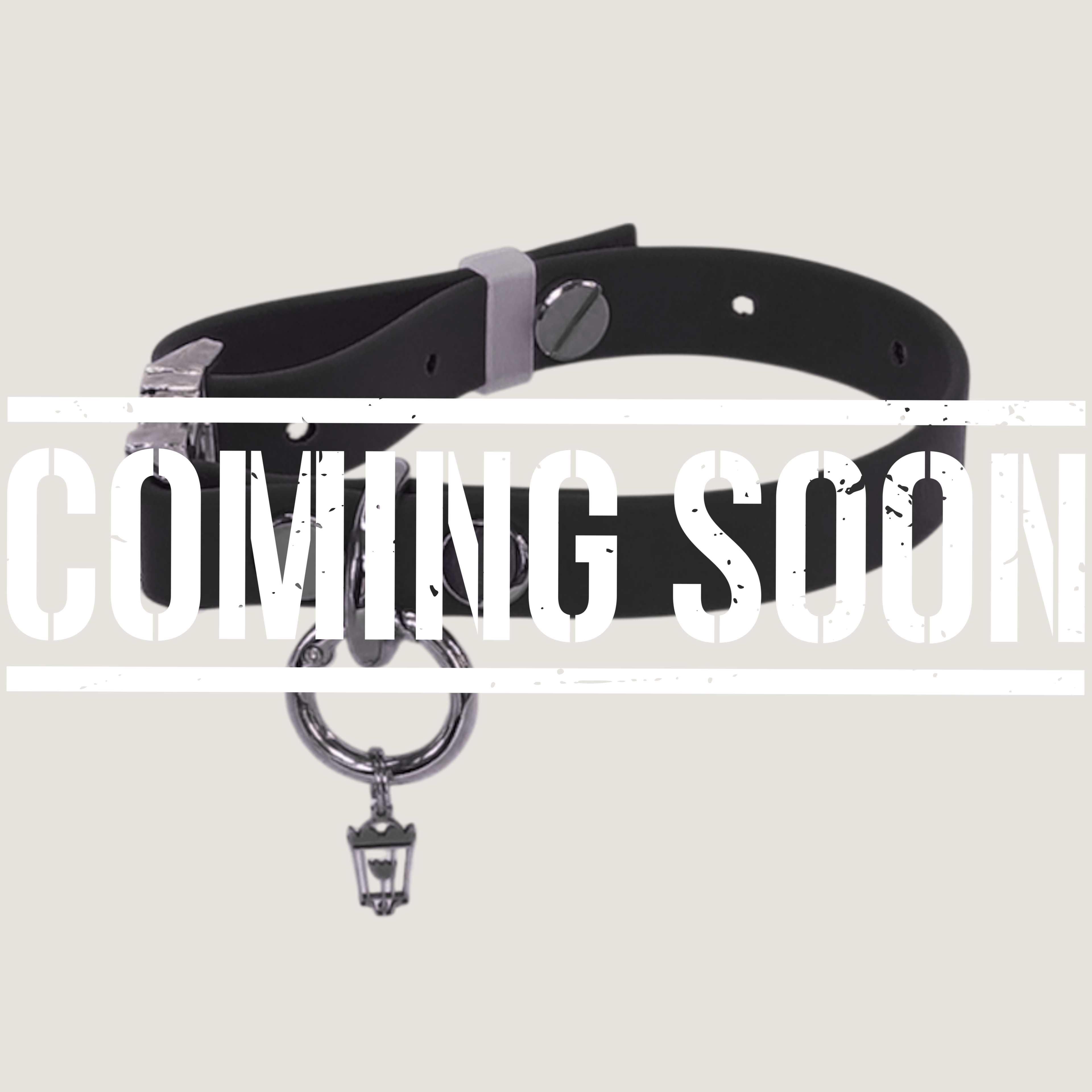 Large Dog Collar Brown