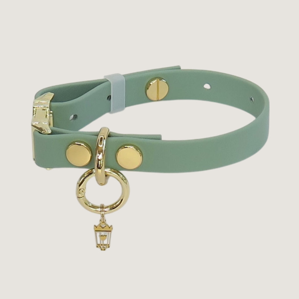 Small Dog Collar Sage