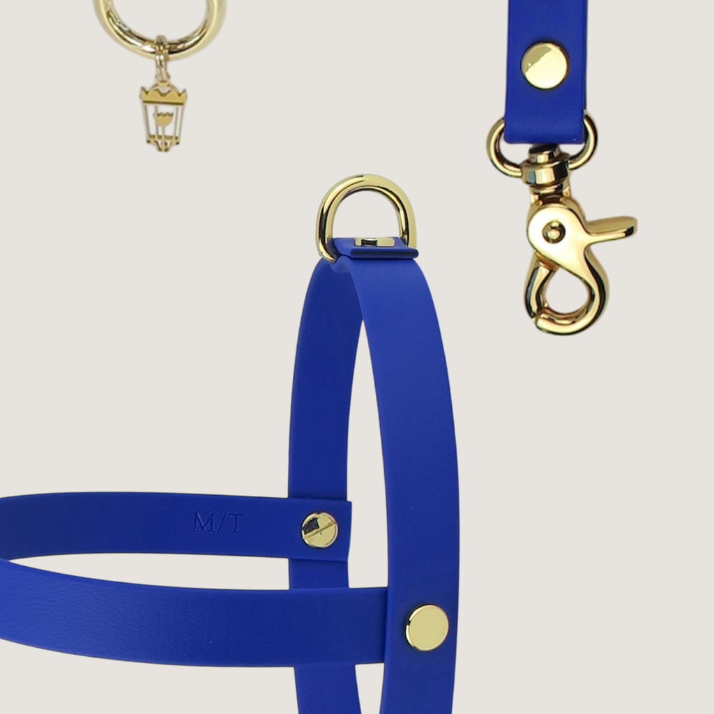 Medium Dog Harness Northern Blue