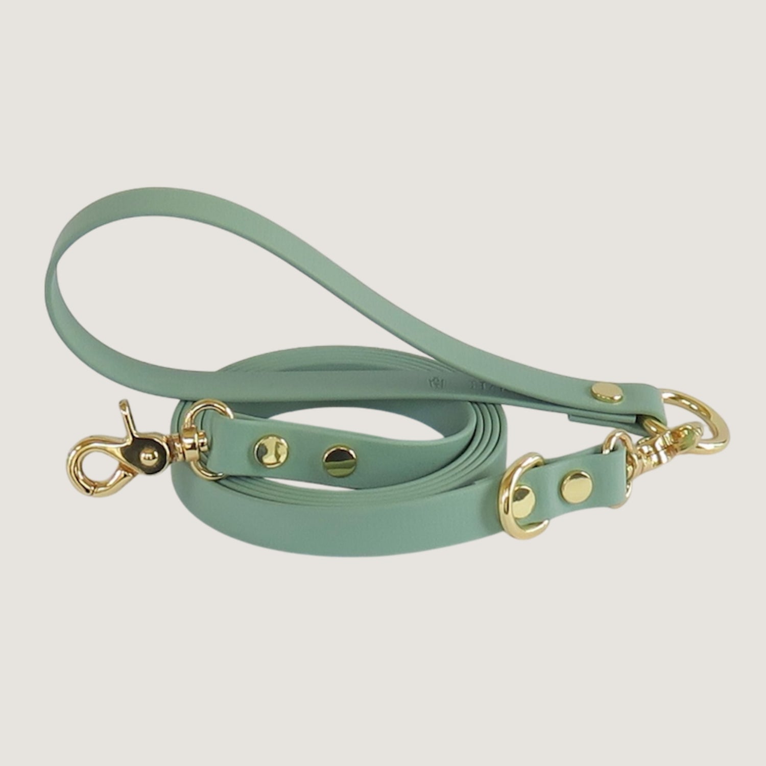 Dog Leash Sage