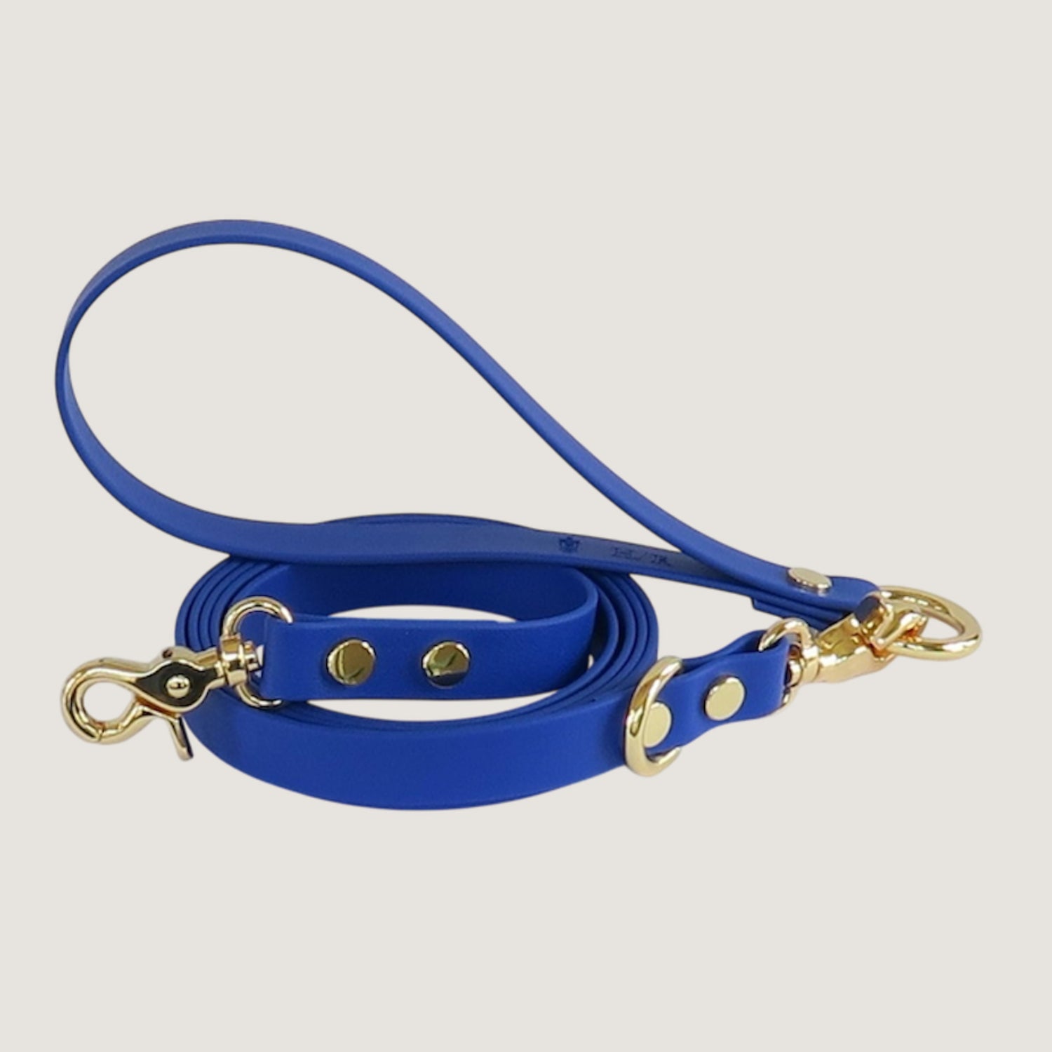 Dog Leash Northern Blue