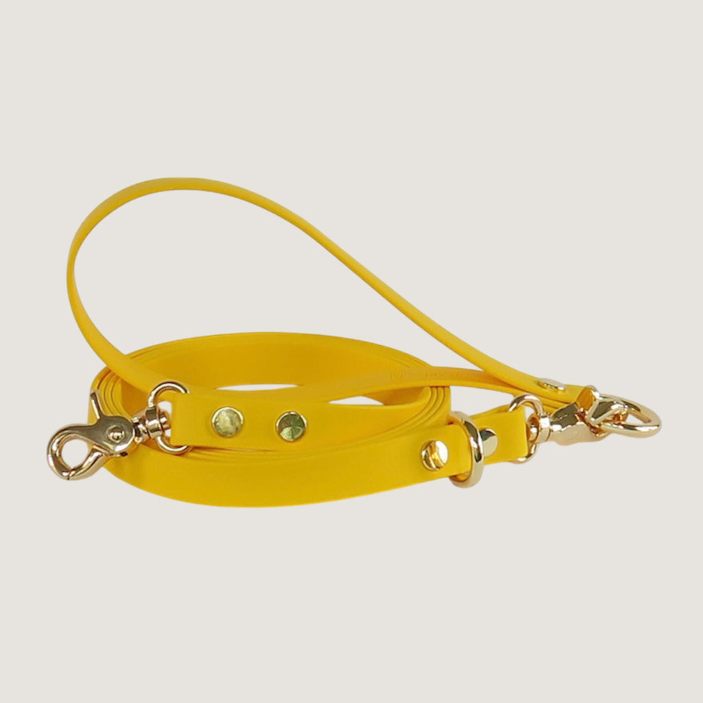 Dog Leash Texas Sunflower