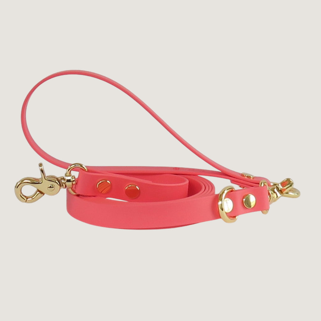 Texas Sunset Dog Leash