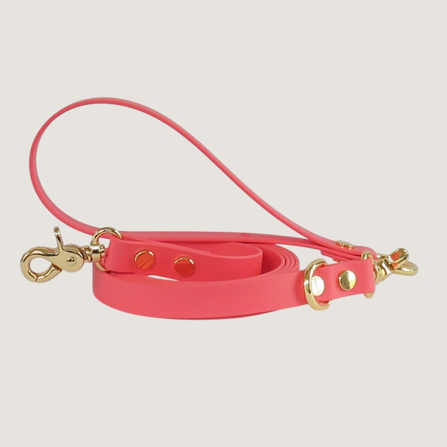 Texas Sunset Dog Leash