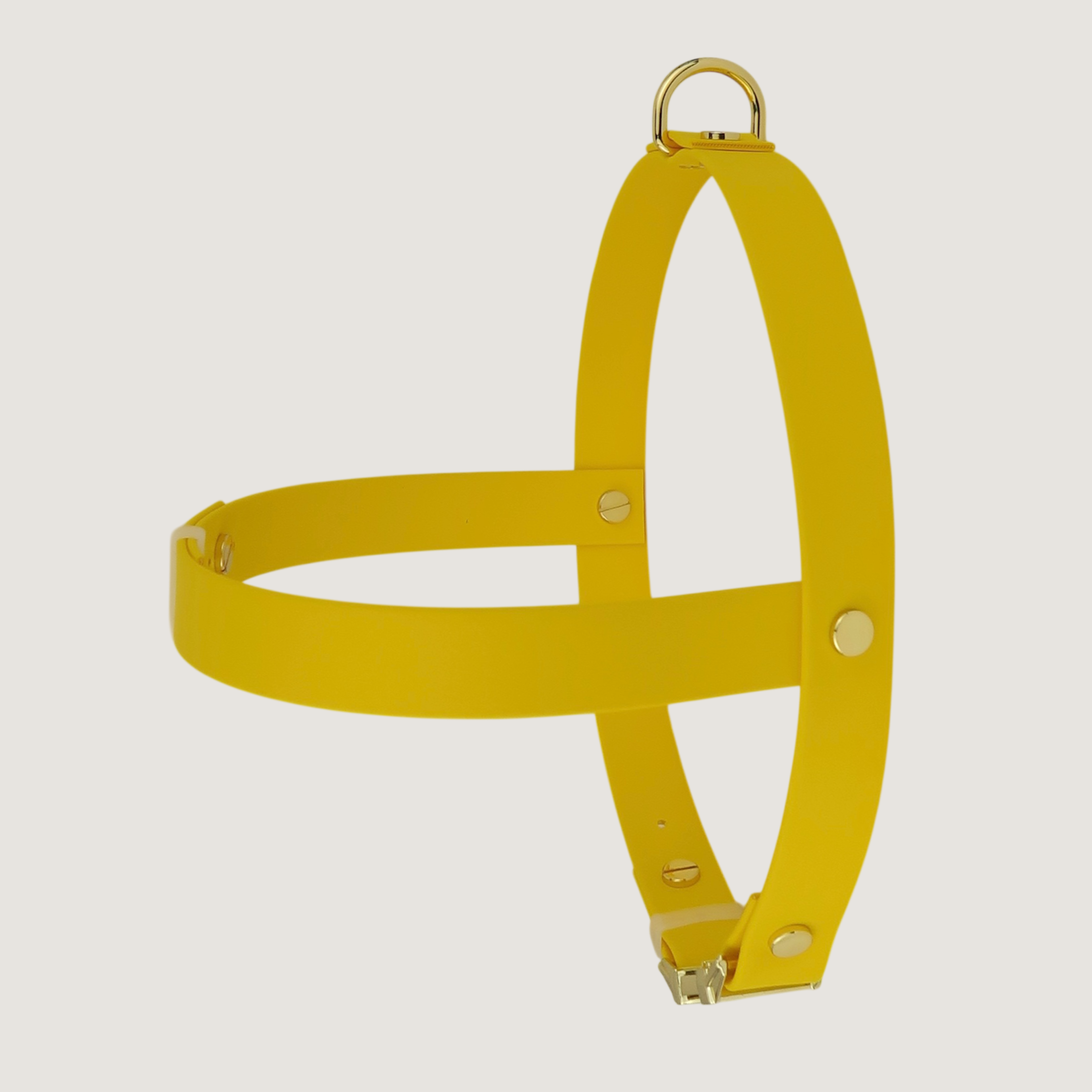 Large Dog Harness Texas Sunflower