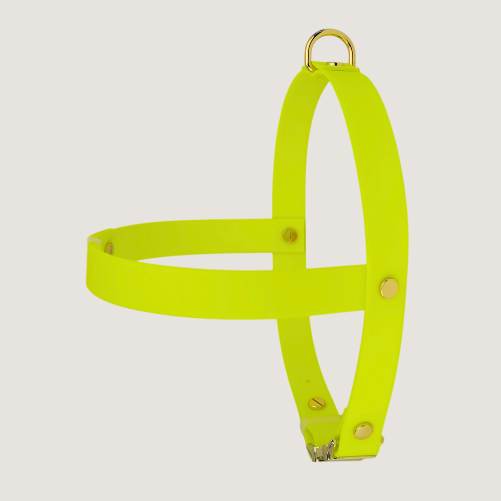 Large Dog Harness Northern Yellow