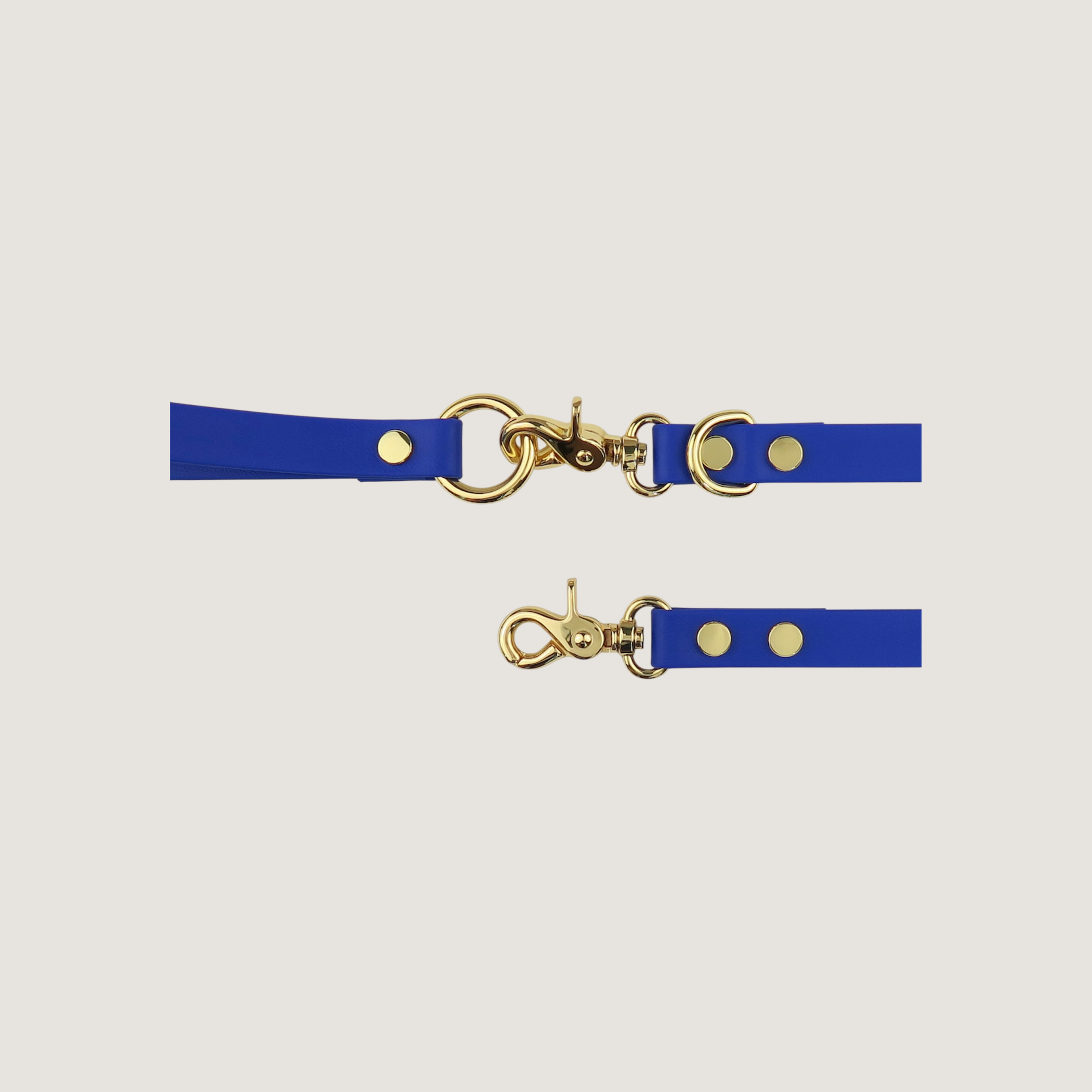 Dog Leash Northern Blue