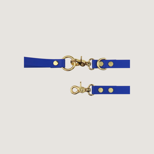 Dog Leash Northern Blue