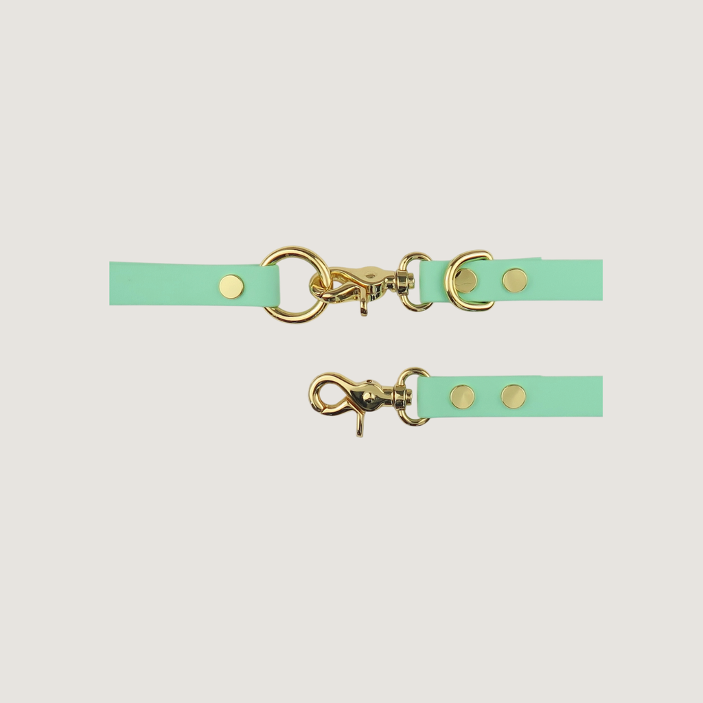 Dog Leash Texas Frio