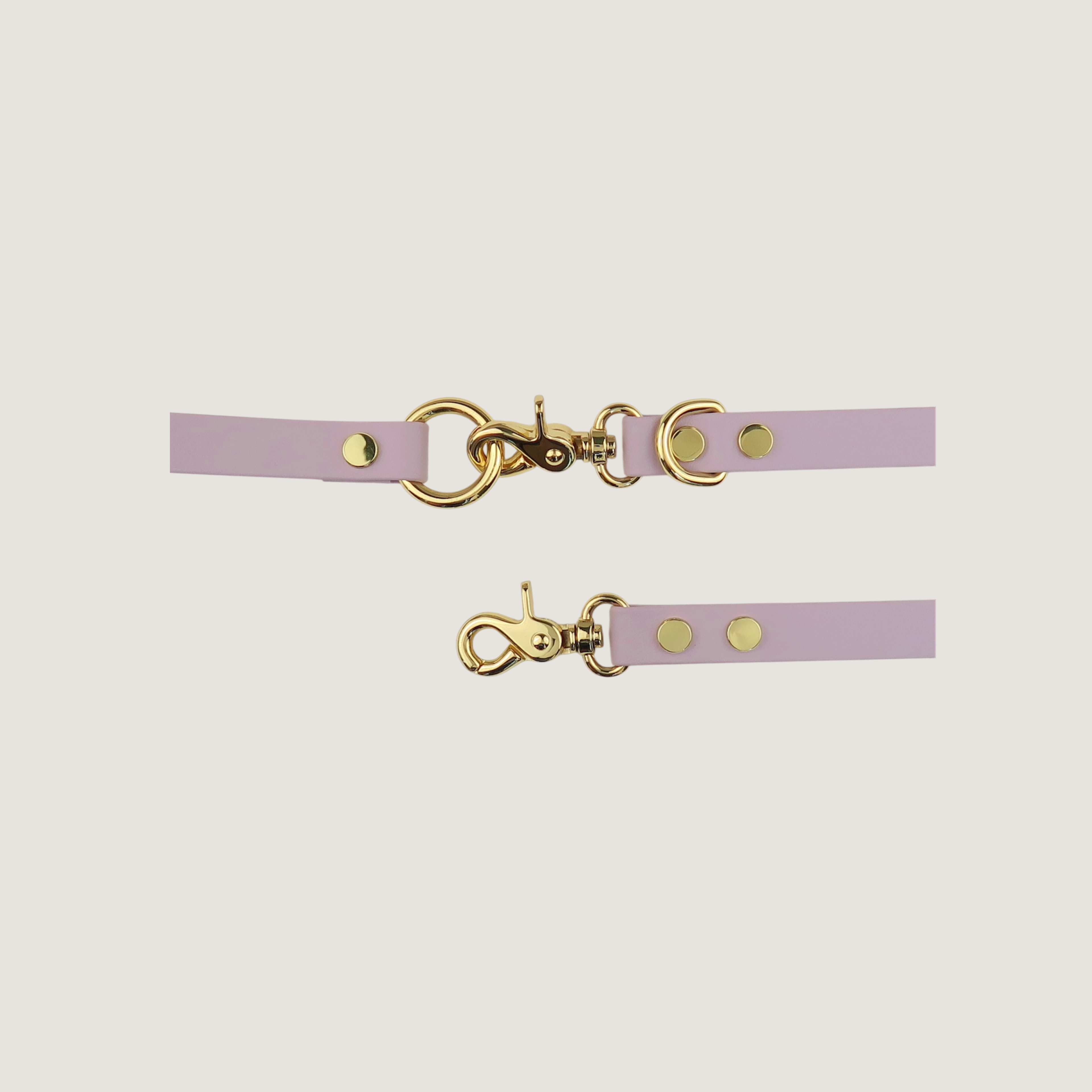 Dog Leash Texas Laurel Dog
