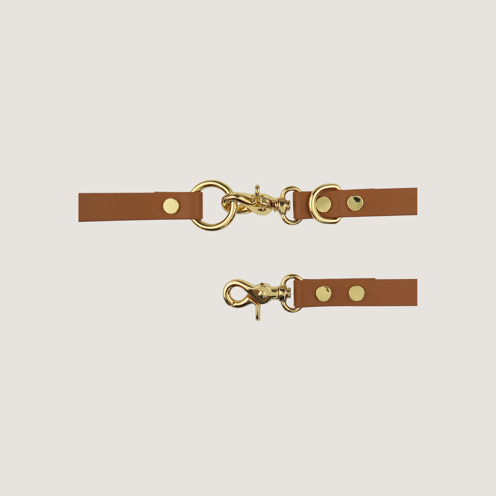 Dog Leash Leather
