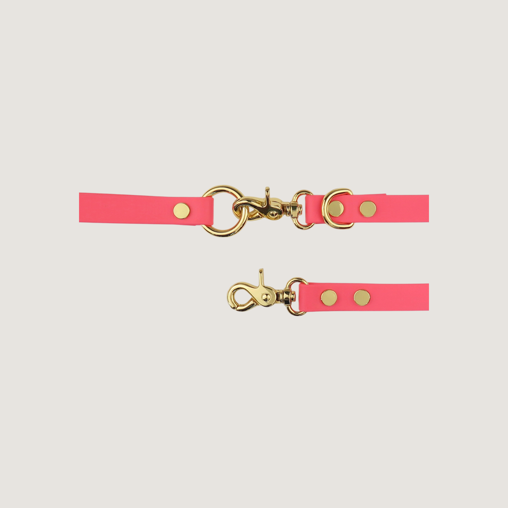 Dog Leash Northern Pink