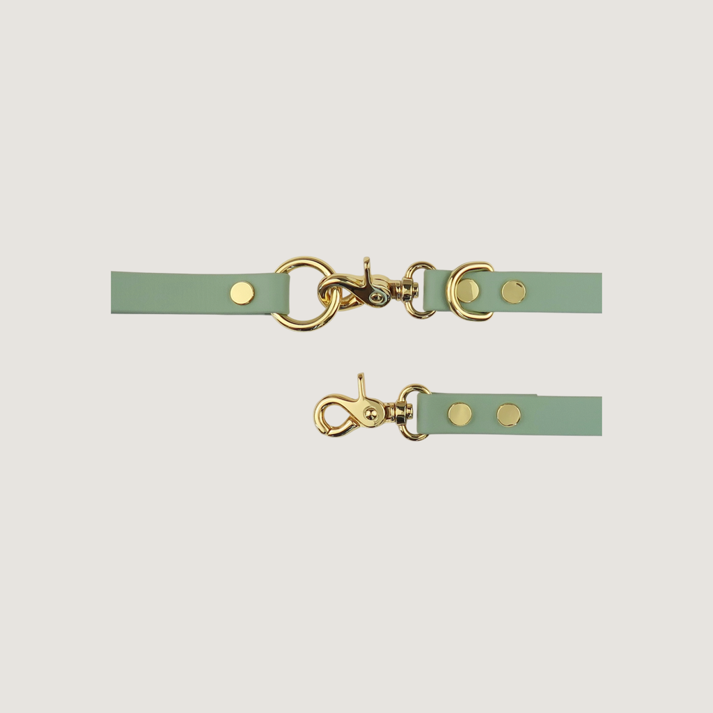 Dog Leash Sage