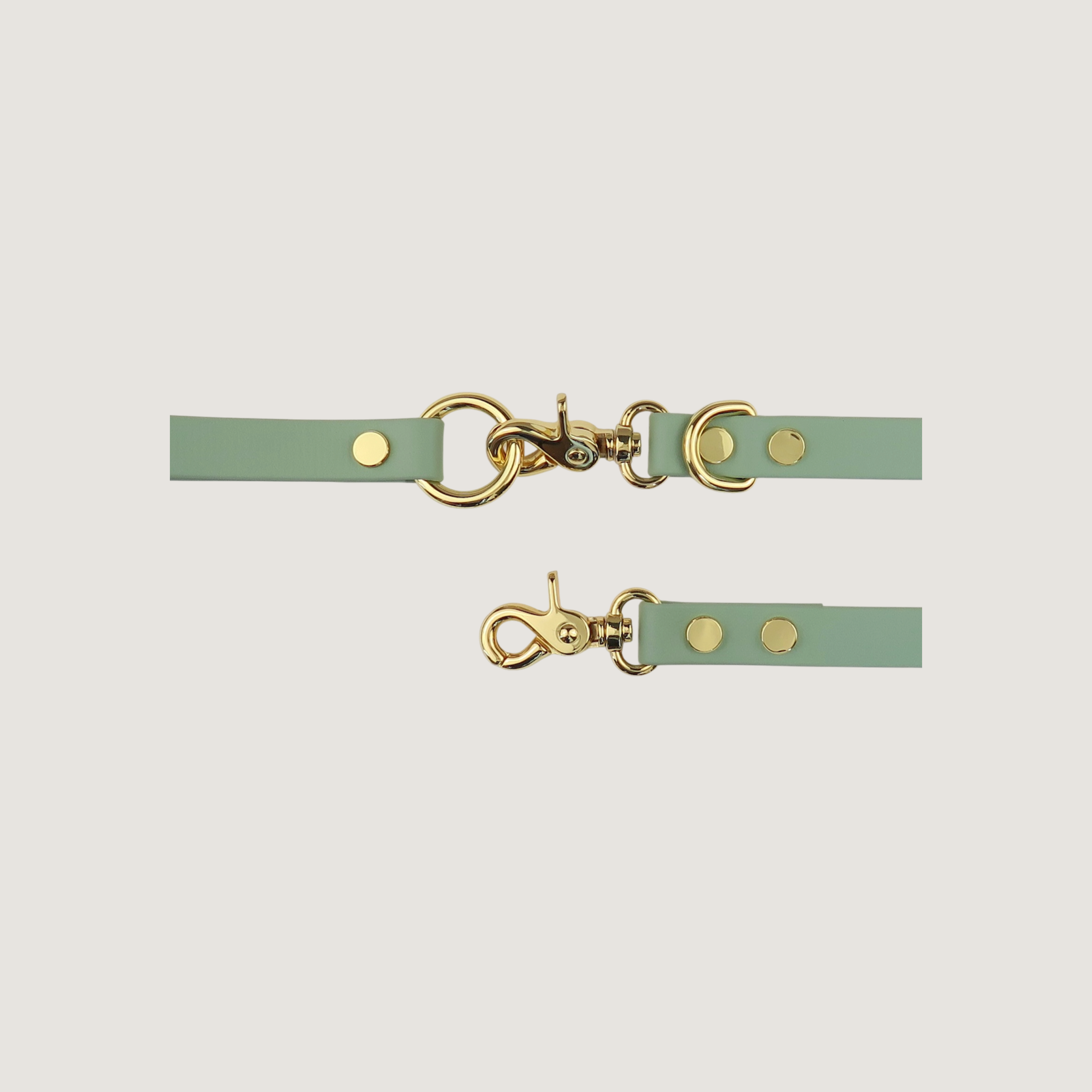 Dog Leash Sage