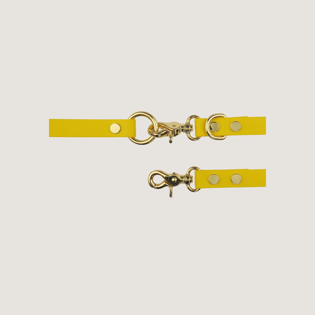 Dog Leash Texas Sunflower