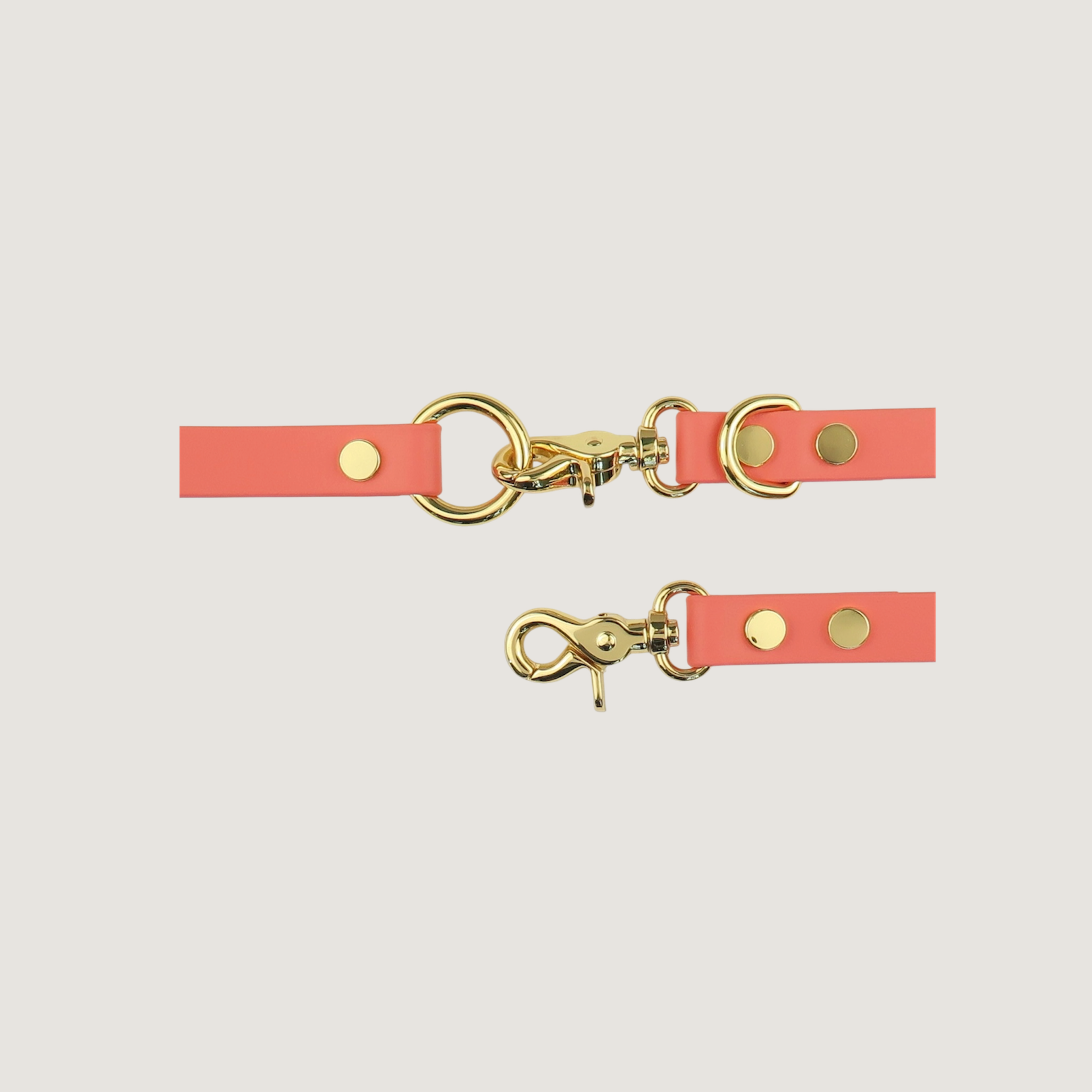 Dog Texas Sunset Dog Leash
