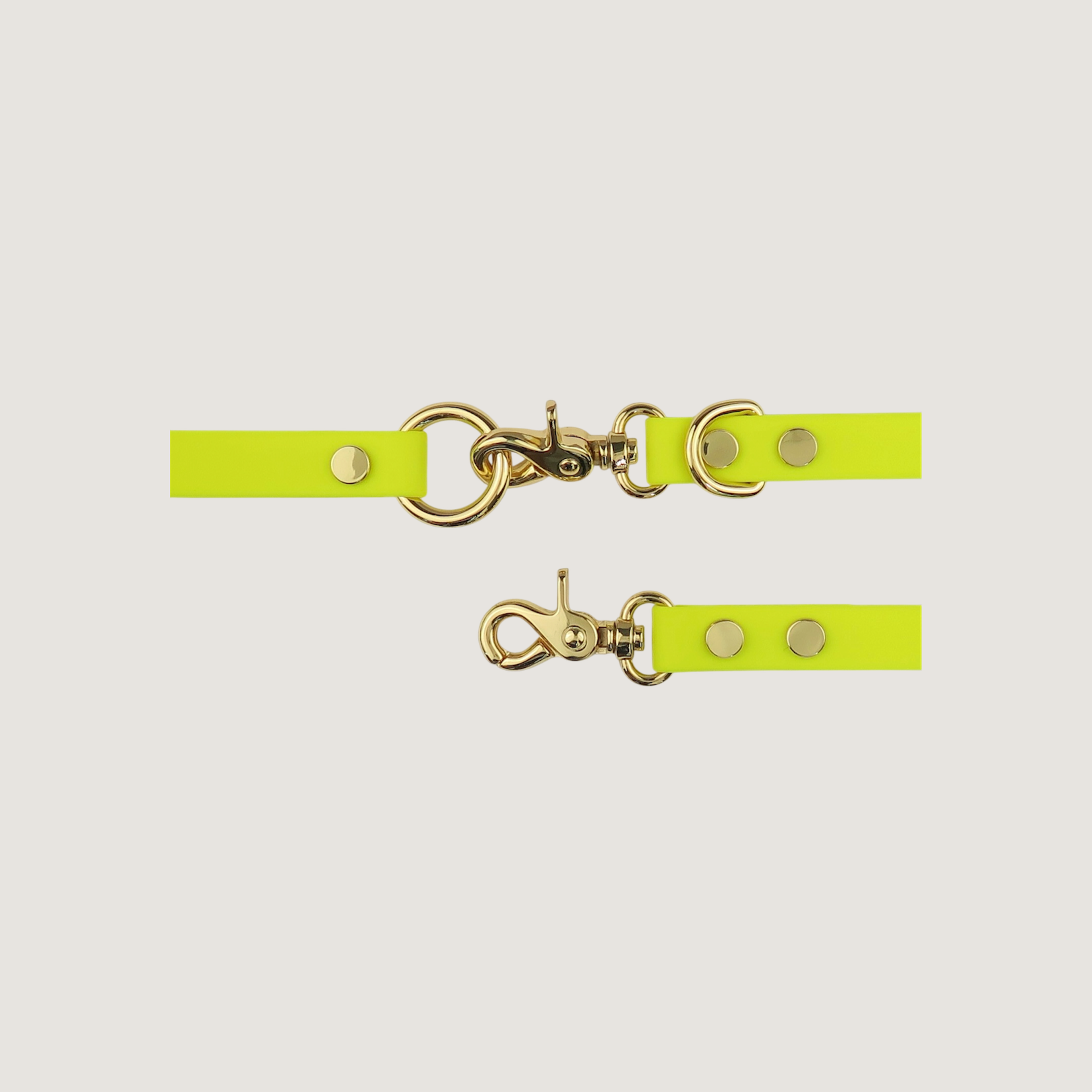 Dog Leash Northern Yellow