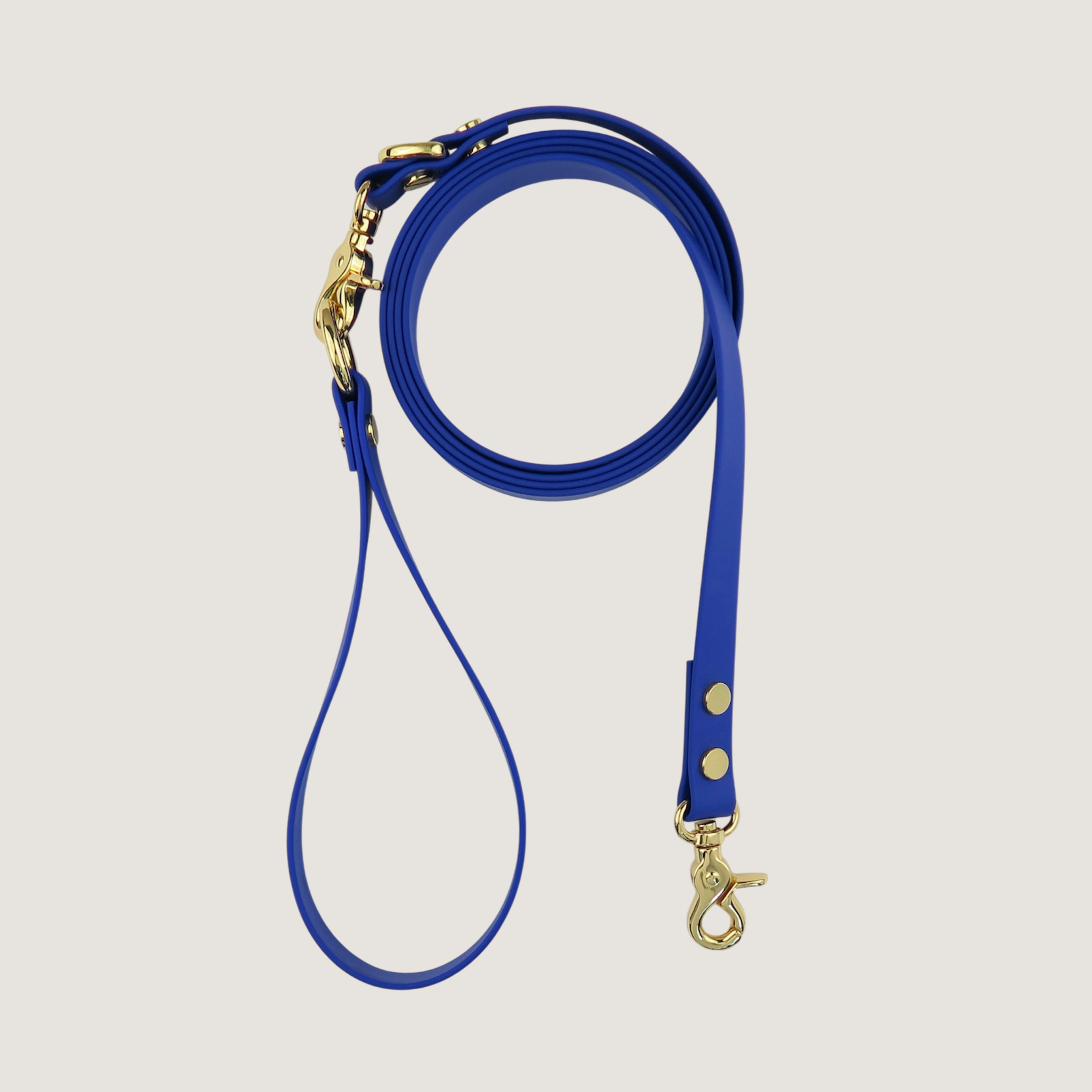 Dog Leash Northern Blue