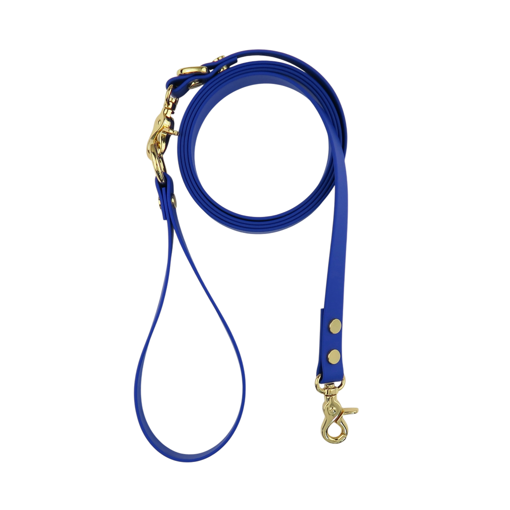 Dog Leash Northern Blue