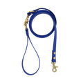 Dog Leash Northern Blue